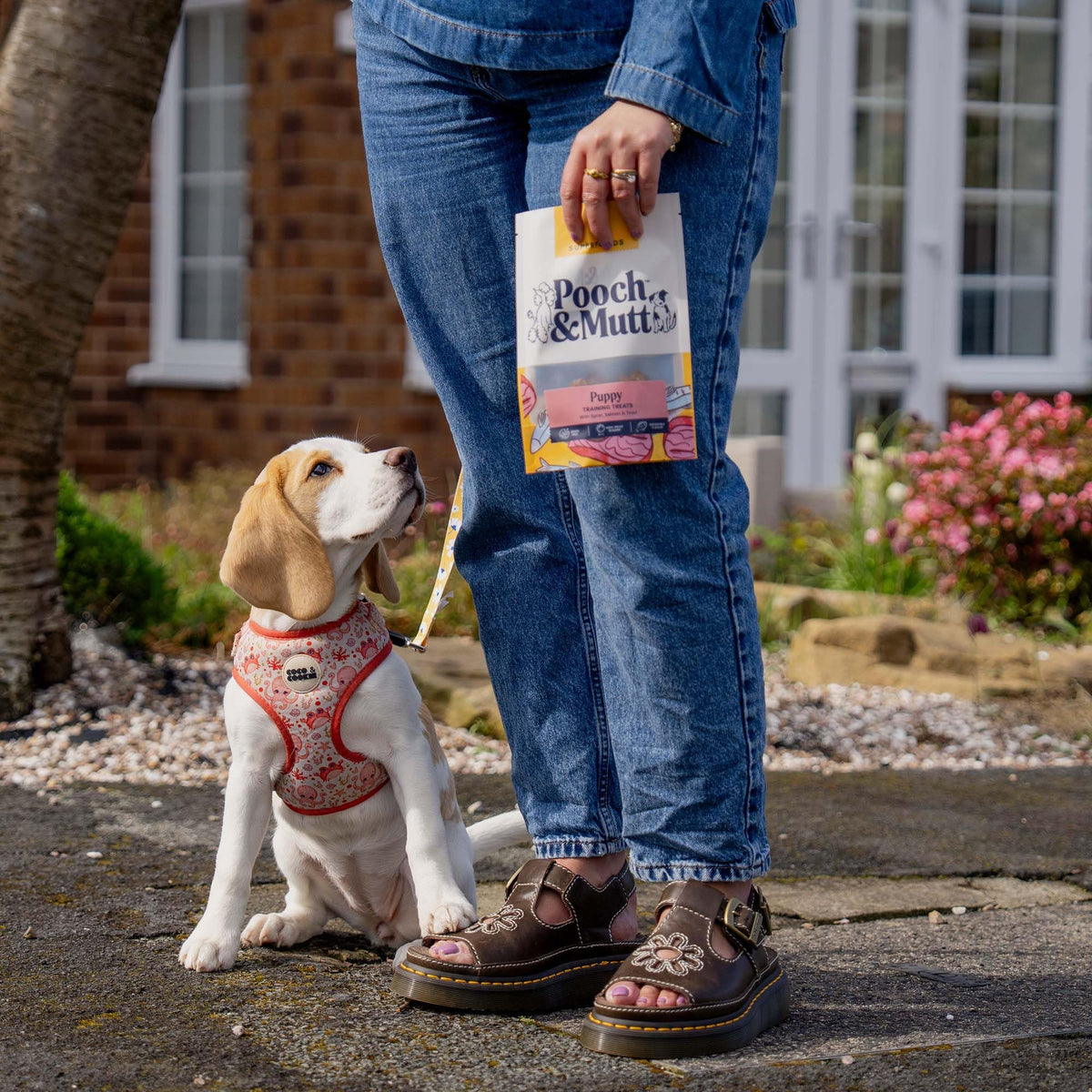 Pooch & Mutt - Puppy Beef Jerky, Training Treats, Pack of 1x80g