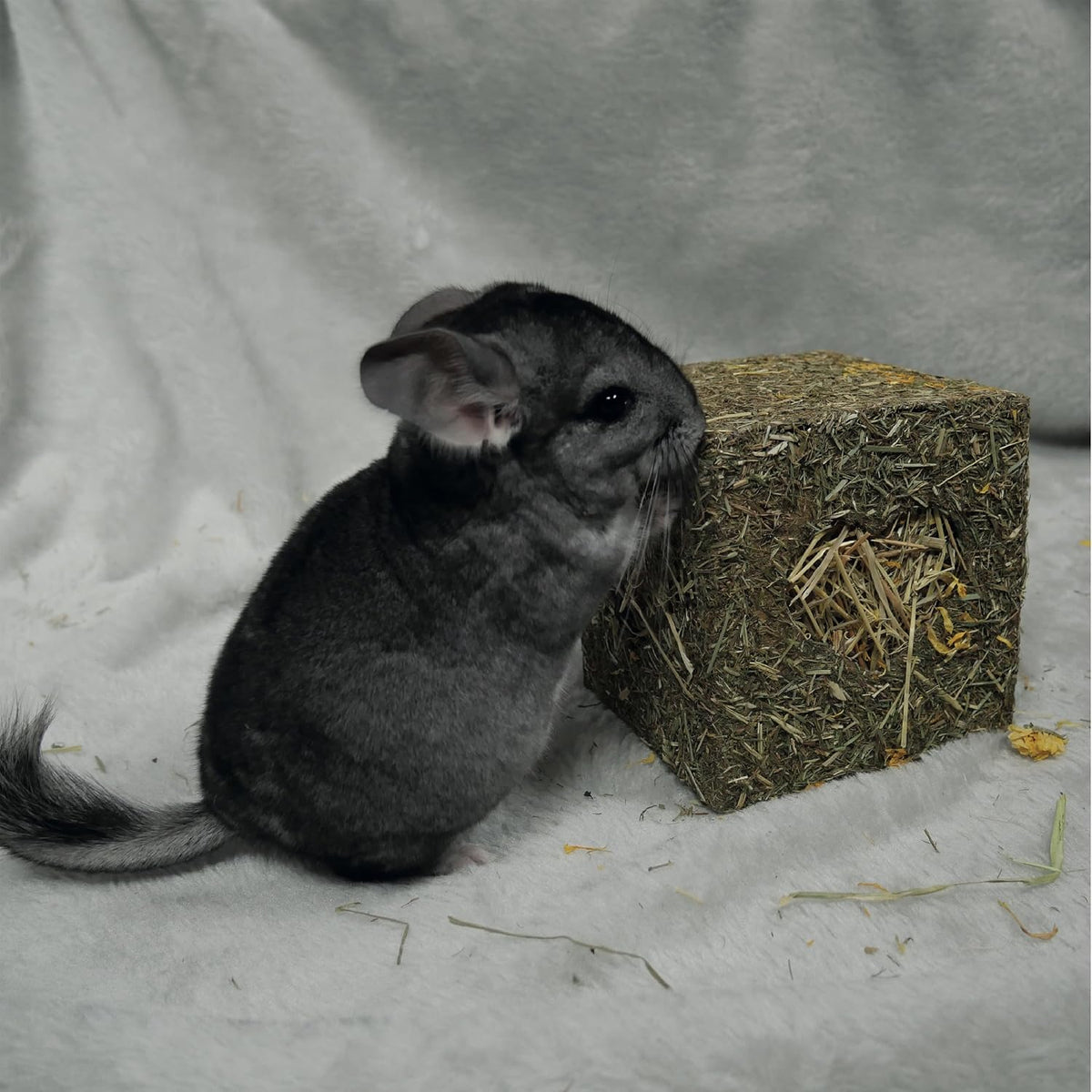 Rosewood Naturals I Love Hay Forage Cube, Small Animal Treat and Gnaw Toy for Rabbits, Guinea Pigs, Chinchillas, Degus, Hamsters, Gerbils, Mice and Rats - Medium (Pack of 2)