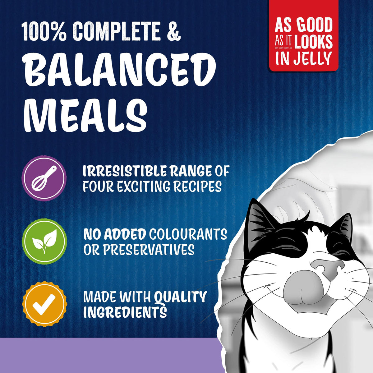 FELIX Doubly Delicious Countryside Selection in Jelly Wet Cat Food 40x85g