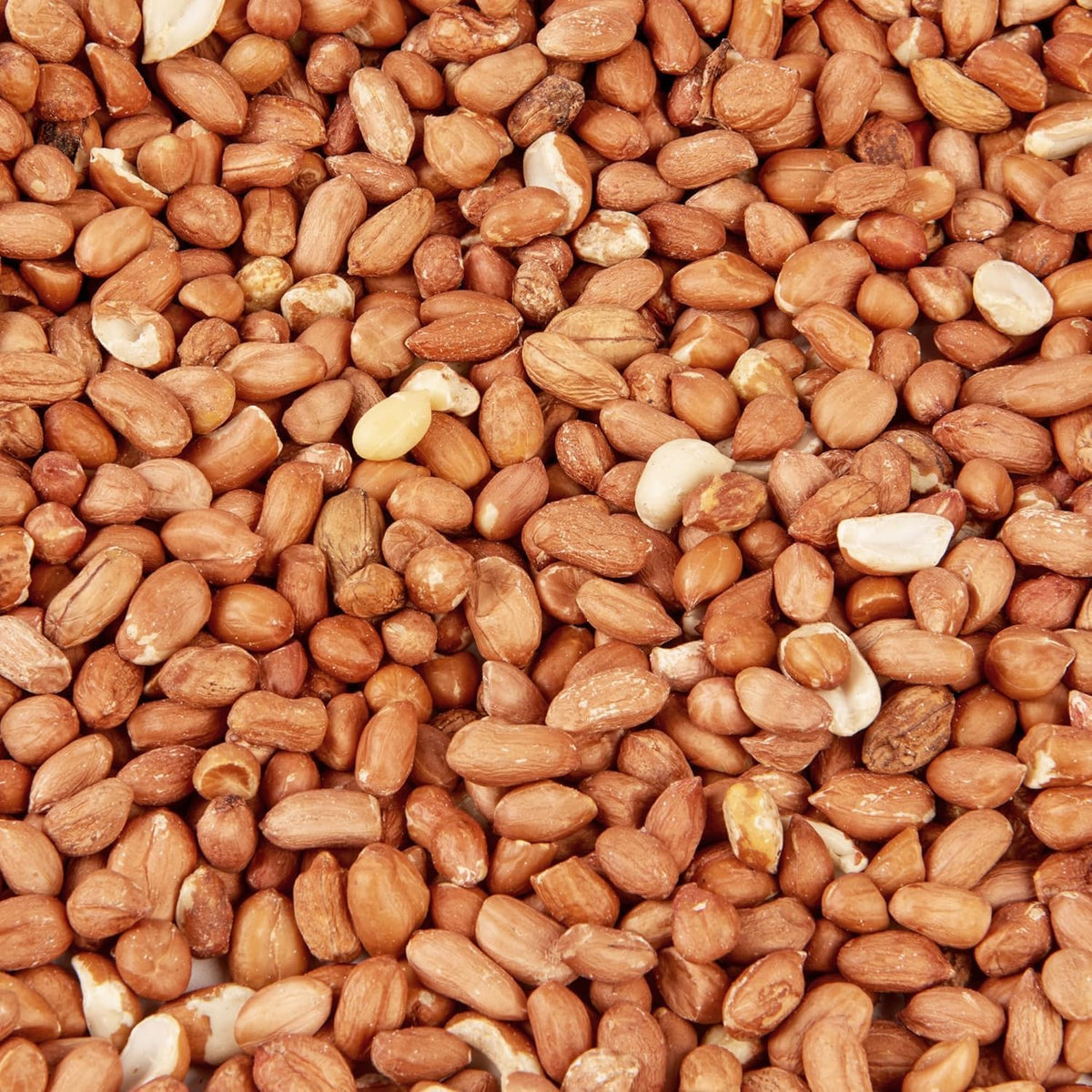 Peanut Kernels Wild Bird Food Seed, 5L Refill Bag