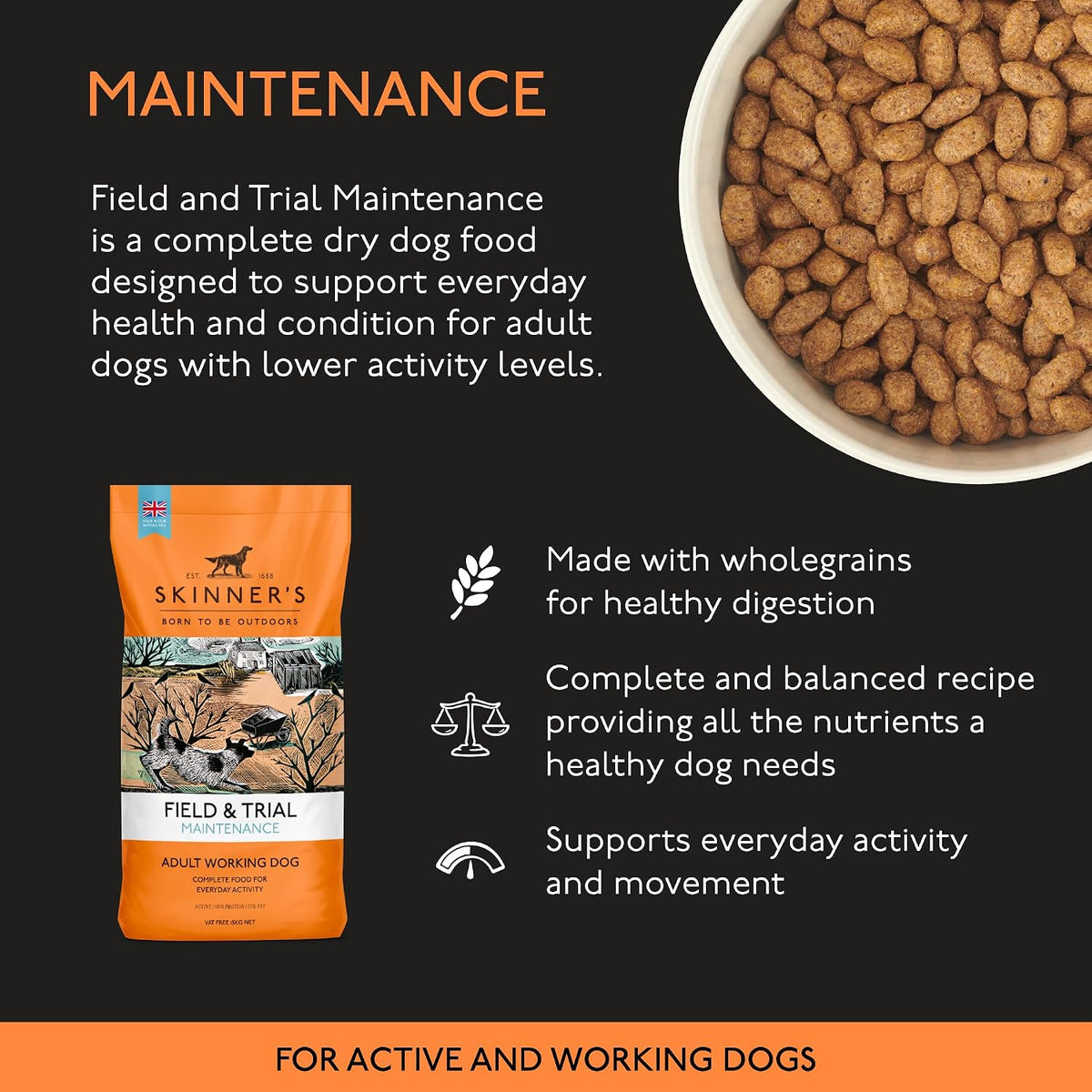 Skinners Field & Trial Maintenance Dry Dog Food - 15kg