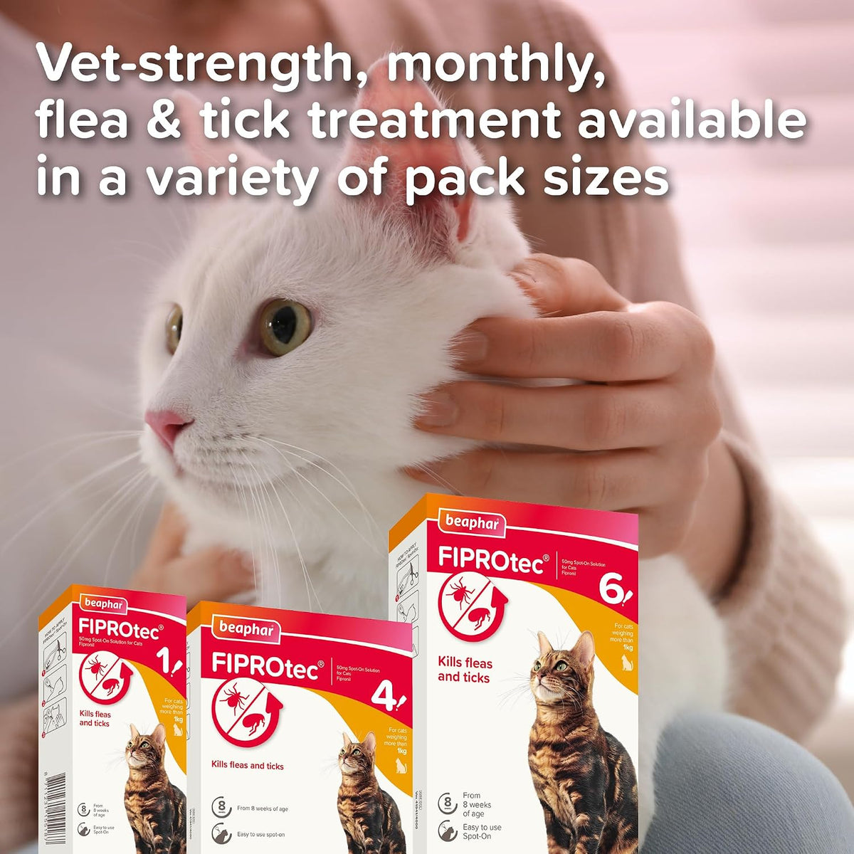 Beaphar - FIPROtec Spot-On Flea & Tick Treatment for Cats - 6 Pipettes - Kills Fleas & Ticks - Veterinary Medicine – Easy to Apply Monthly - For Cats & Kittens from 8 Weeks Old, Weighing Over 1kg