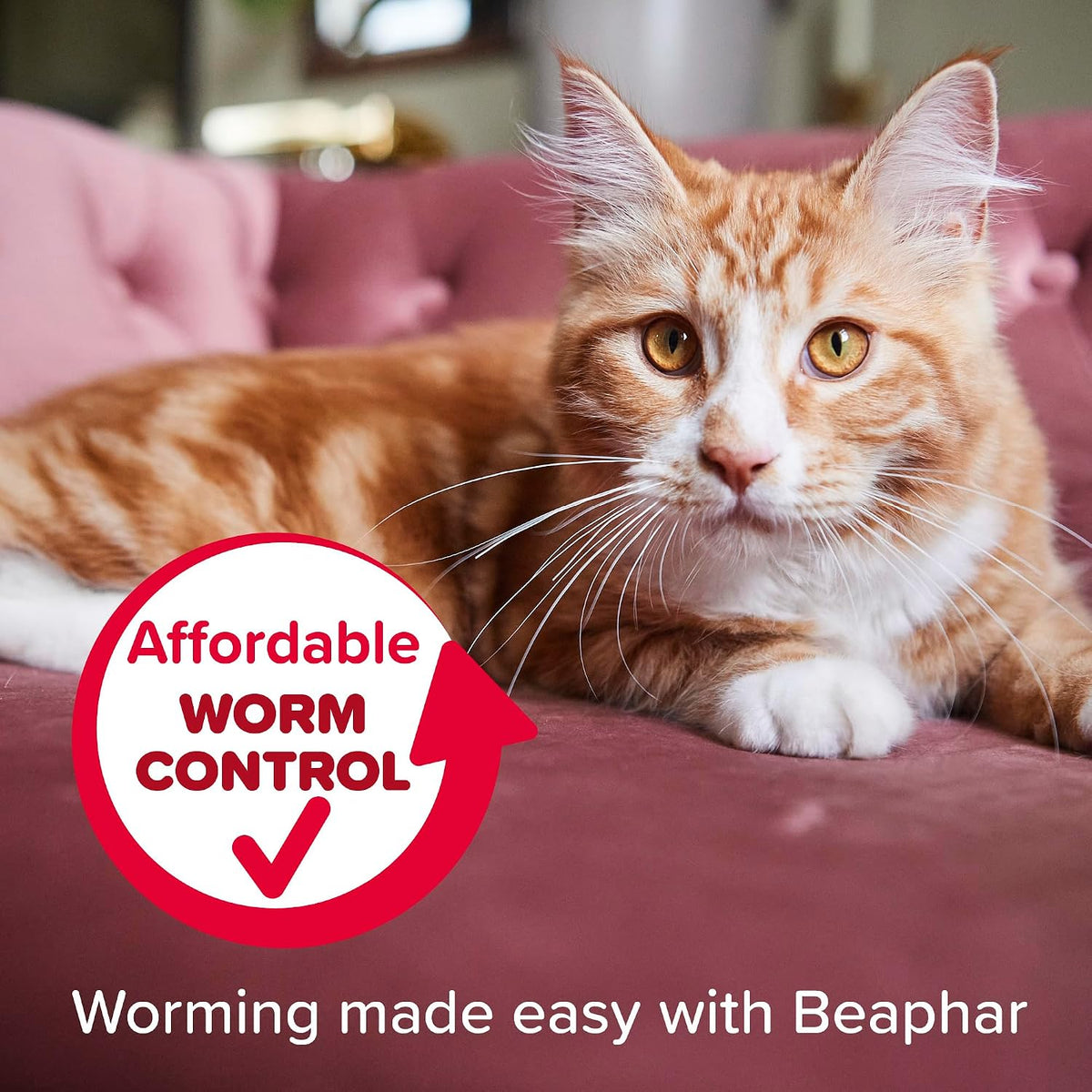 Beaphar - WORMclear® Tablets for Cats - 2 Tablet Pack - Kills All Common UK Intestinal Worms (Roundworms & Tapeworms) - Vet Strength Worm Treatment - Meaty-Flavoured - For Cats Over 6 Weeks Old & 1kg