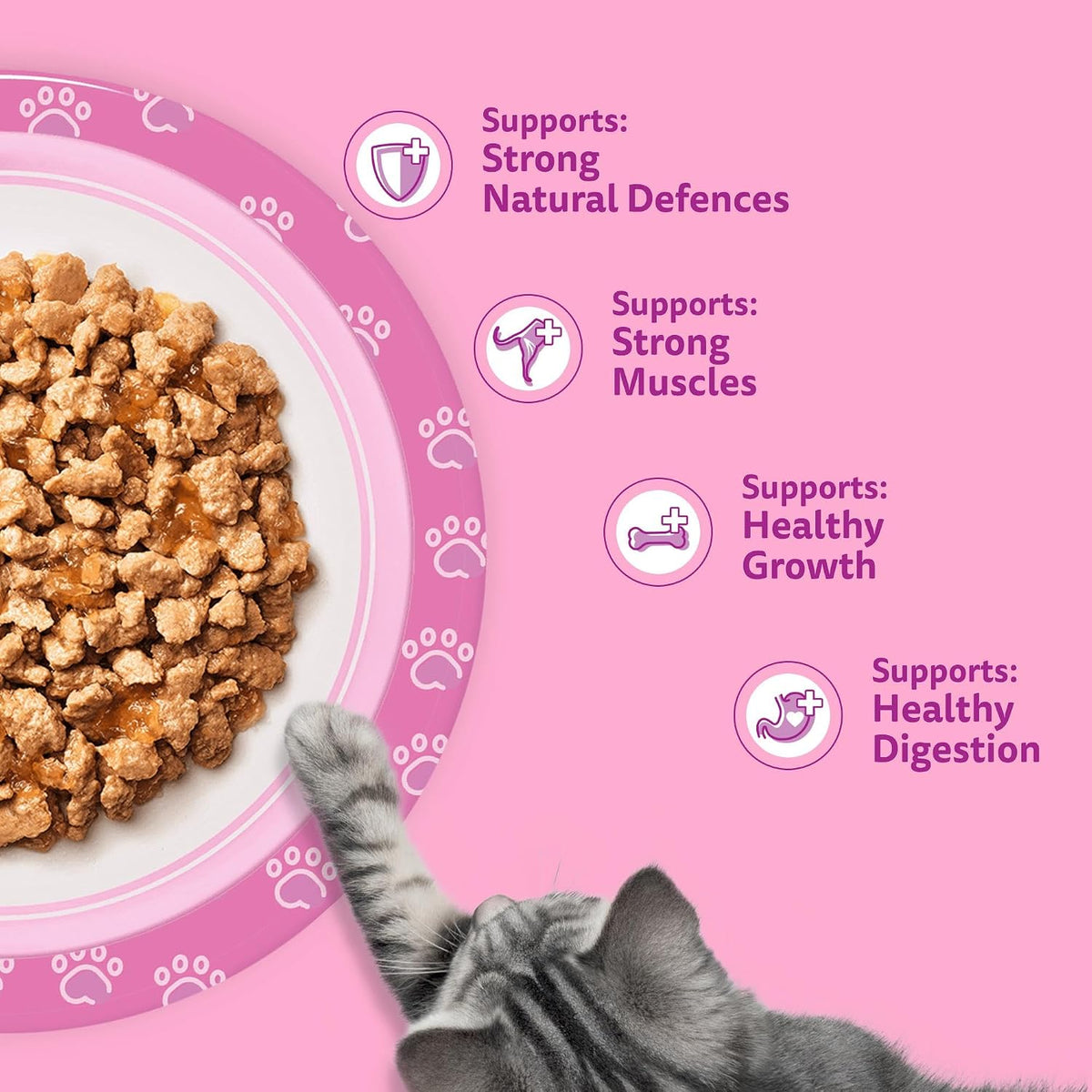 whiskas Junior Poultry Selection in Jelly 84 Pouches, Wet Kitten and Cat Food, Selection of Chicken, Duck, Poultry and Turkey, Megapack (84 x 85 g)
