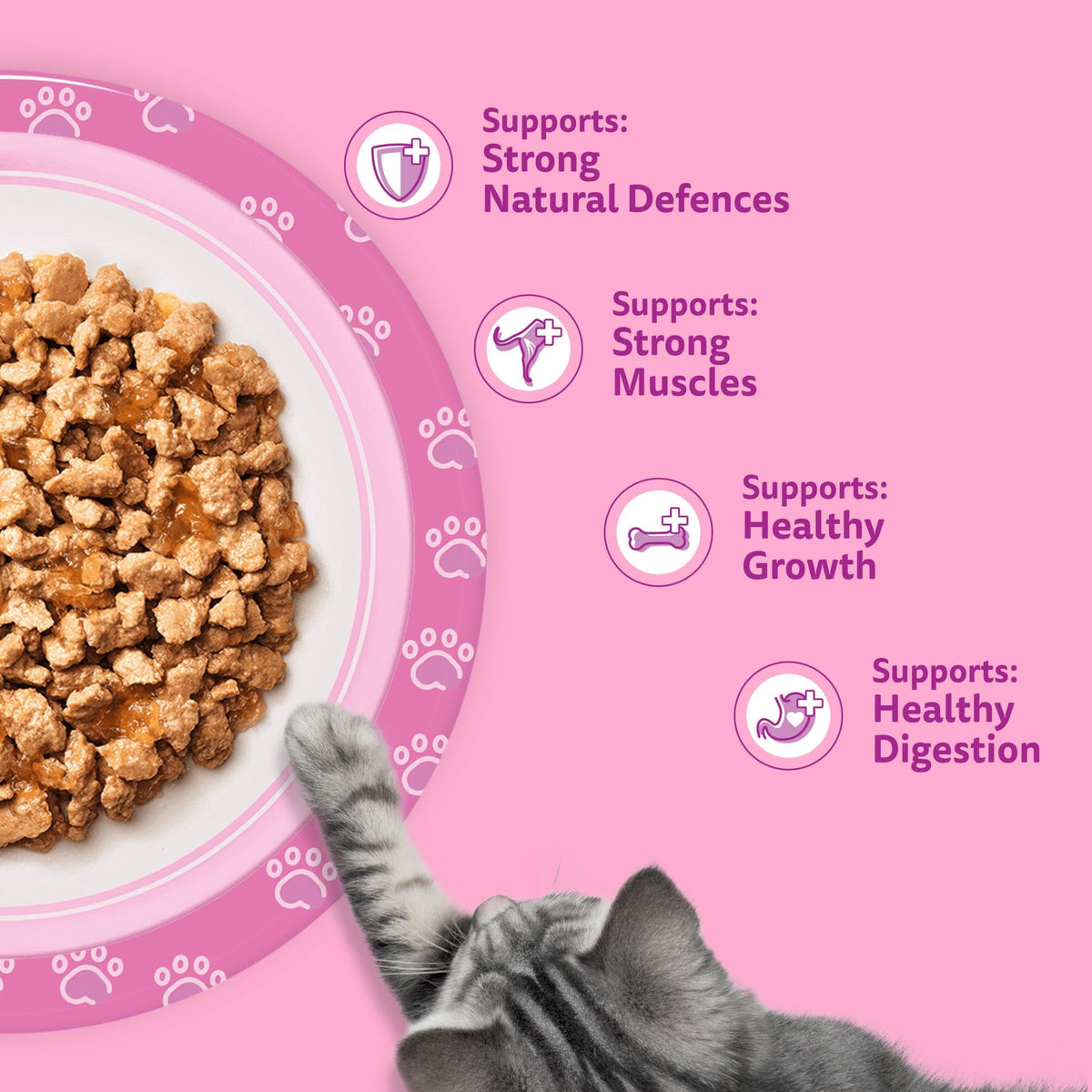 whiskas Junior Poultry Selection in Jelly 84 Pouches, Wet Kitten and Cat Food, Selection of Chicken, Duck, Poultry and Turkey, Megapack (84 x 85 g)