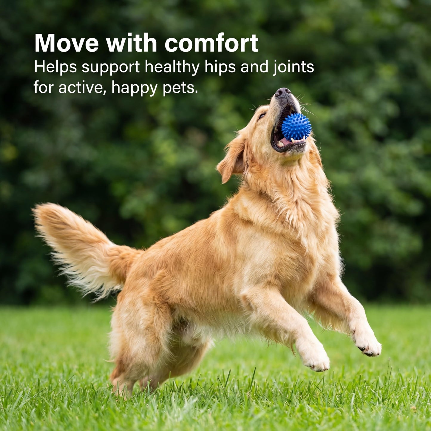 Joint Supplements for Senior Dogs, 120 Tablets with Glucosamine, Green Mussel & Vitamin C, Senior Dog Joint Supplements - Relieve Stiff Joints & Support Mobility for Your Dog