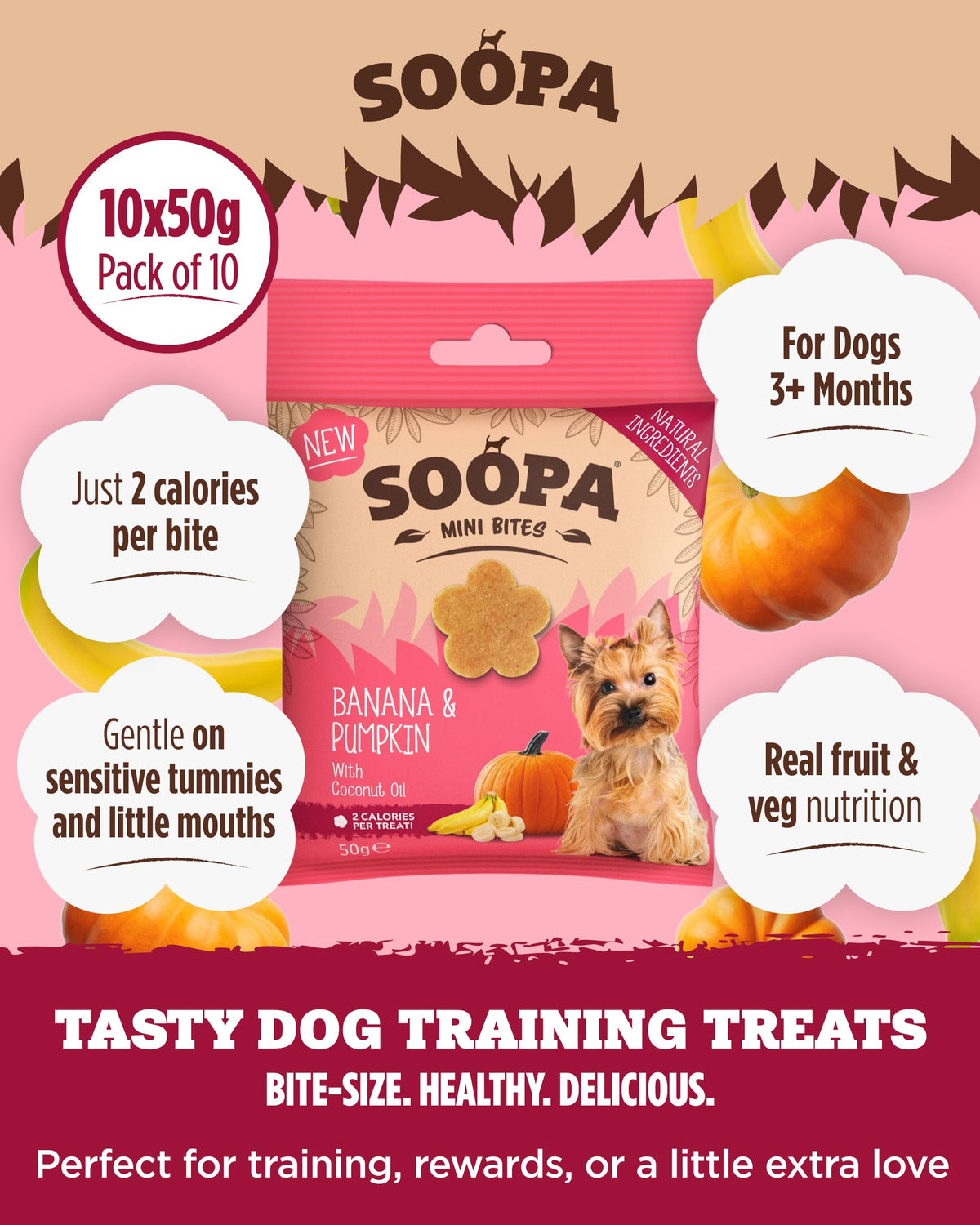 Soopa Strawberry Dog-Quiri Healthy Bites, Dog Training Treats, 50 g, 1-Pack