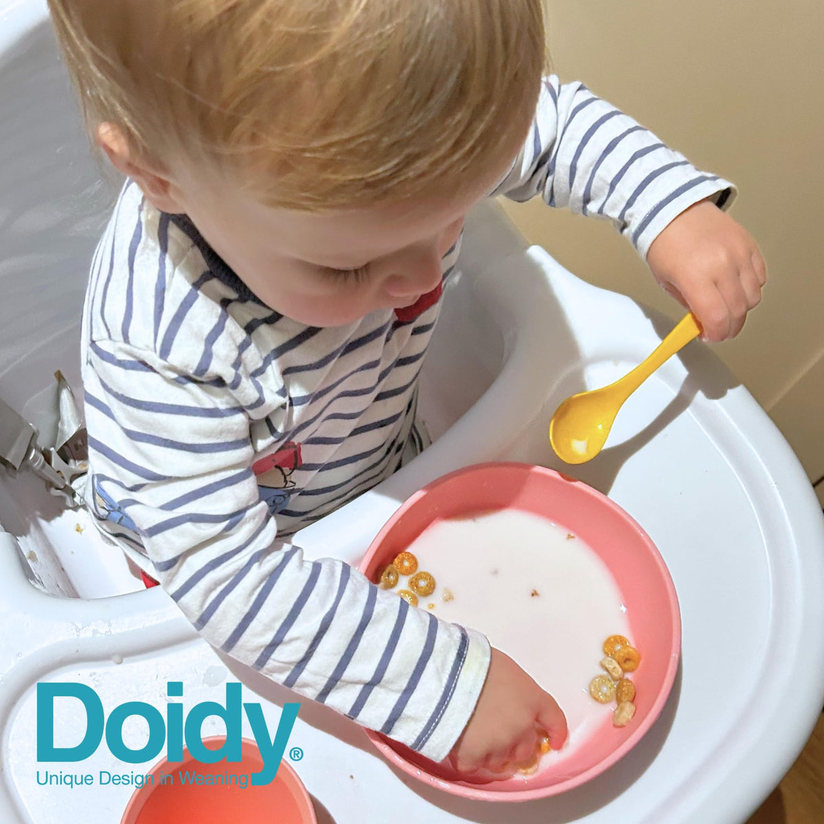 Doidy Cup, Open Cup for Training Baby 6 Months-3 Years, 200ml, Slanted Weaning Cup with Handles for Learning to Drink, BPA Free, 2 Pack (Orange)