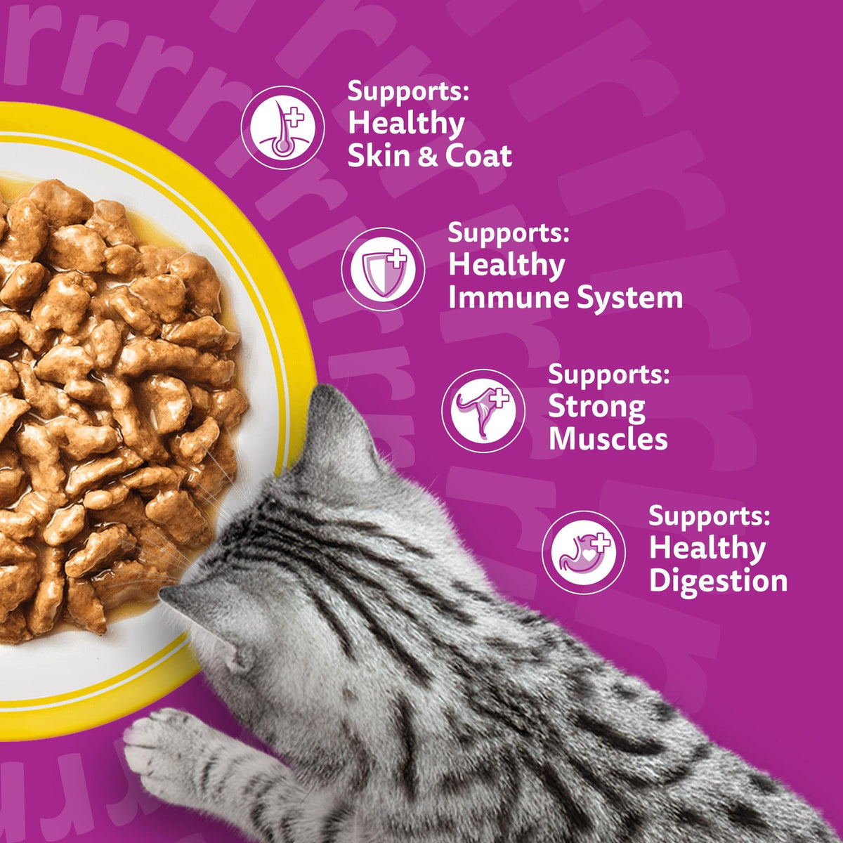 WHISKAS Adult Wet Cat Food in Jelly 40x85g Fish Favourites