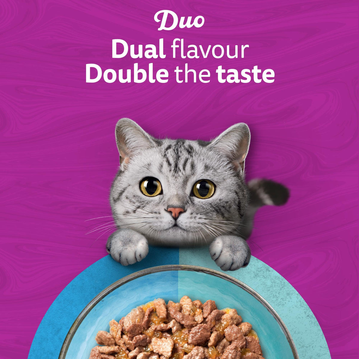 WHISKAS DUO Adult Wet Cat Food in Jelly 12x85g Surf & Turf (Pack of 4)