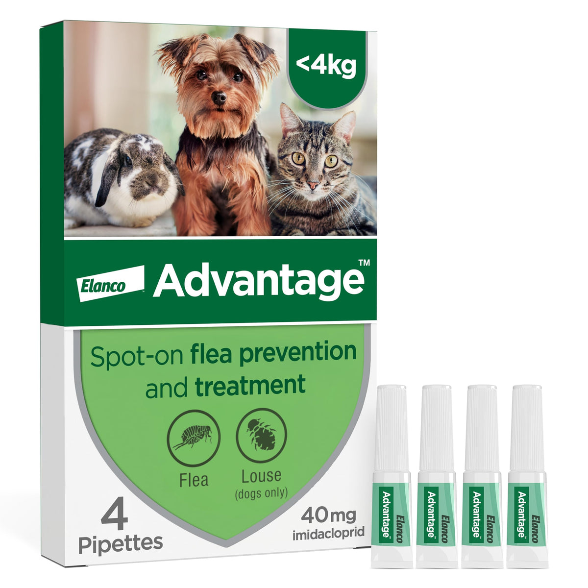 Advantage Spot On Flea Treatment For Large Cats and Rabbits Over 4kg (4 pipettes, 80mg), Kills Fleas Within 24 Hours, Prevents Further Infestation For Up To Four Weeks in Cats