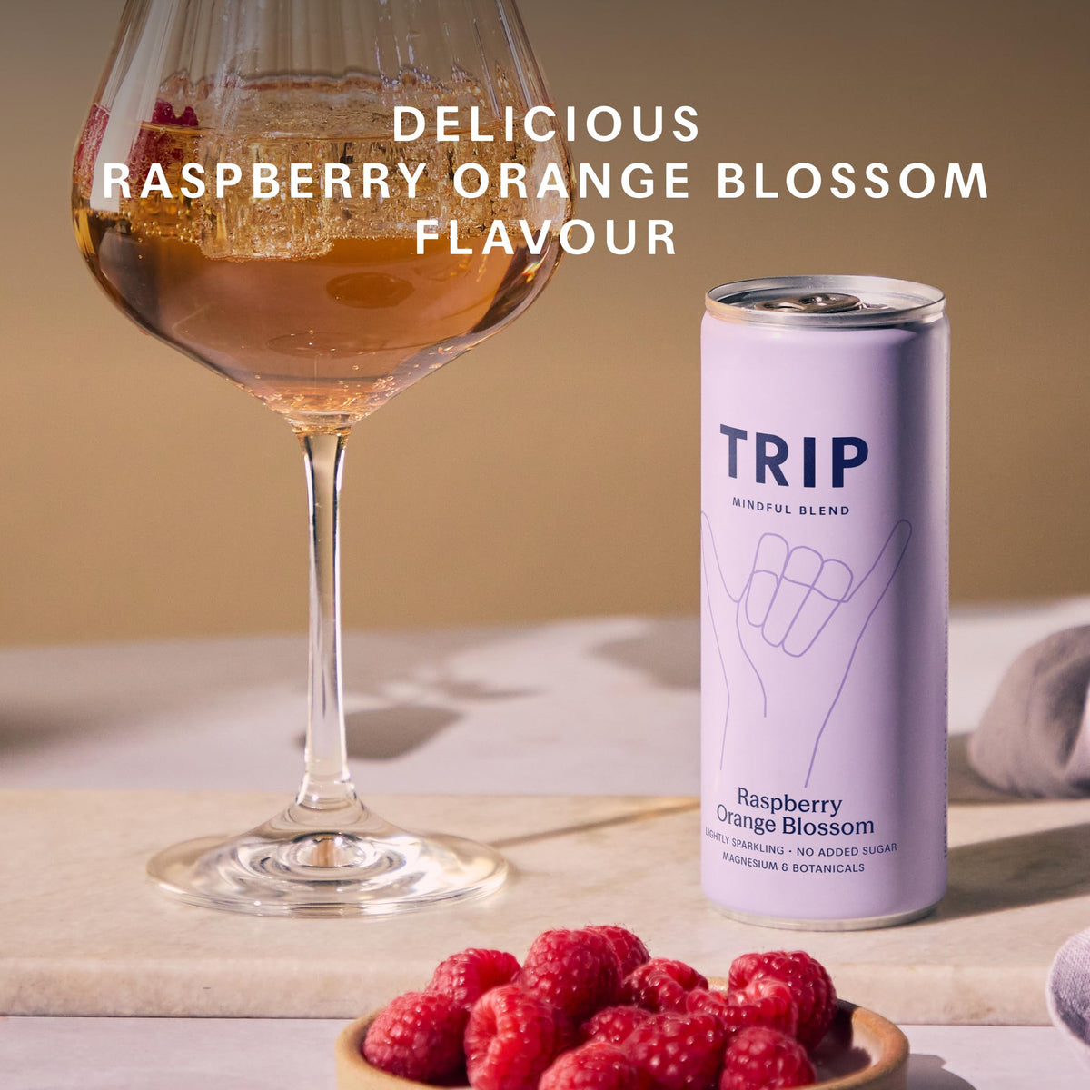 TRIP Cucumber Mint Sparkling drink with 120MG calming Magnesium + Lion’s Mane + Chamomile + Lemon Balm. Low Calorie and Vegan (Pack of 12 x 250ml) - Packaging Might Vary