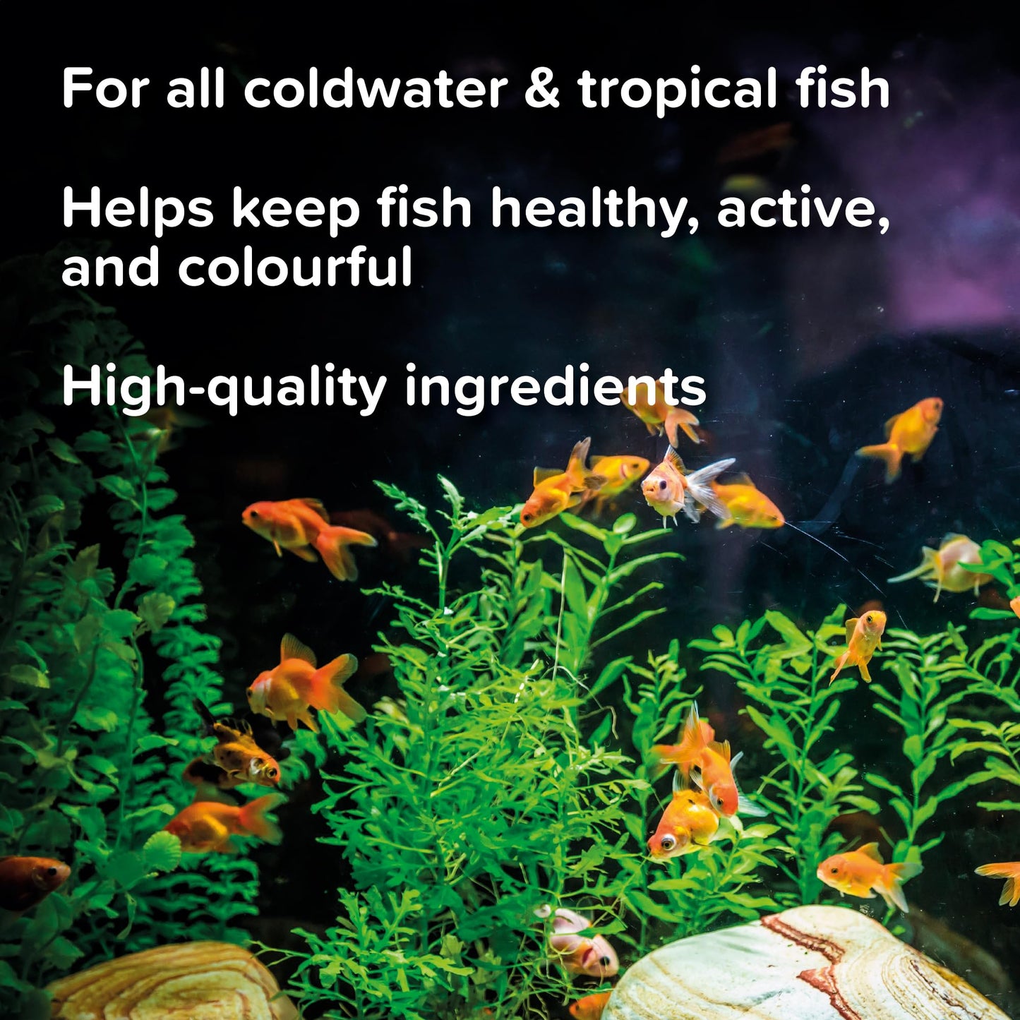 King British – Holiday Block Food – For Coldwater & Tropical Fish – Ideal for Leaving your Fish over Holidays – Does Not Cloud Water Ingredients – Helps keep Fish Healthy & Active
