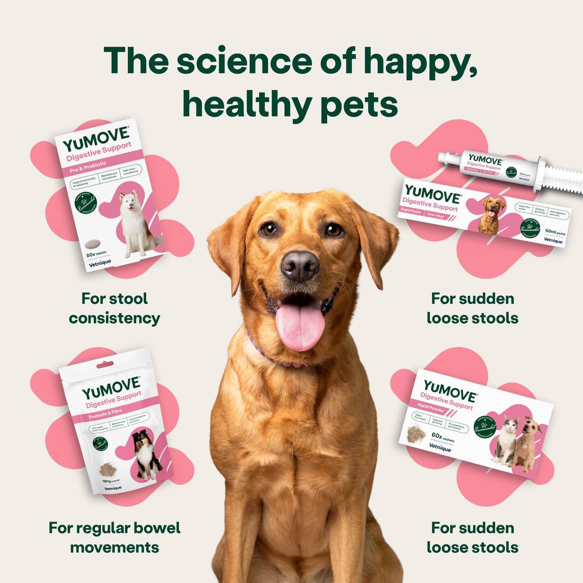 YuMOVE Digestive Care, Dog Pre and Probiotics Supplement for Gut Health, Digestive Support for All Ages and Breeds, 120 Tablets - Eco Friendly and Letter Box Ready Packaging