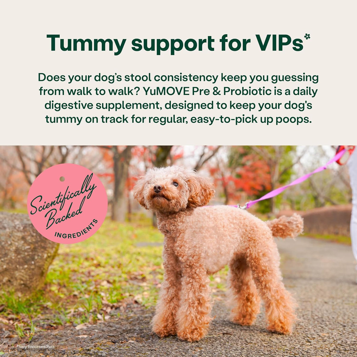 YuMOVE Digestive Care, Dog Pre and Probiotics Supplement for Gut Health, Digestive Support for All Ages and Breeds, 120 Tablets - Eco Friendly and Letter Box Ready Packaging