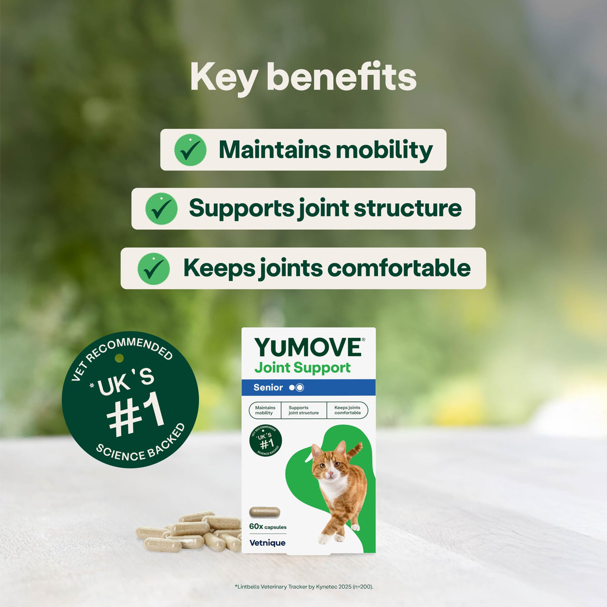 YuMOVE Senior Cat Joint Supplement for Joint Care & Joint Aid, for Older, Stiff Cats with Glucosamine, Chondroitin & Green Lipped Mussel, 60 Capsules - Packaging May Vary