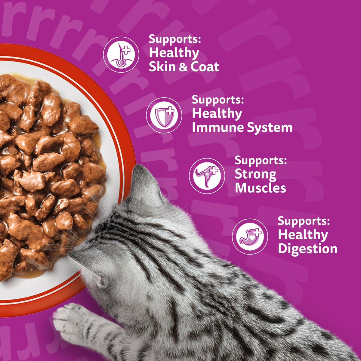 WHISKAS Adult Wet Cat Food in Jelly 40x85g Fish Favourites