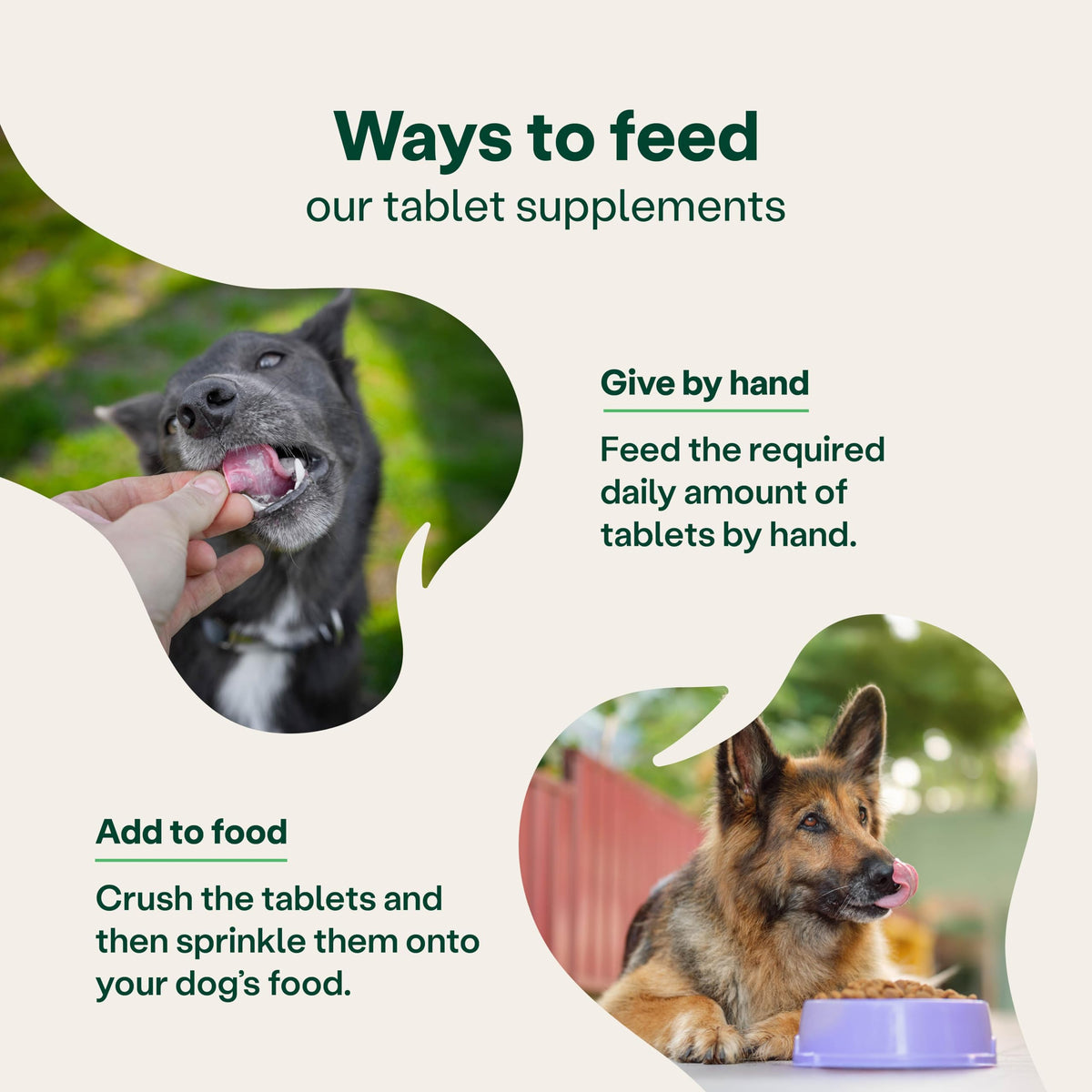 YuMOVE Young and Active Dog | Joint Supplement for Dogs to Support Active and Growing Joints Aged Under 6 | 60 Tablets Clear