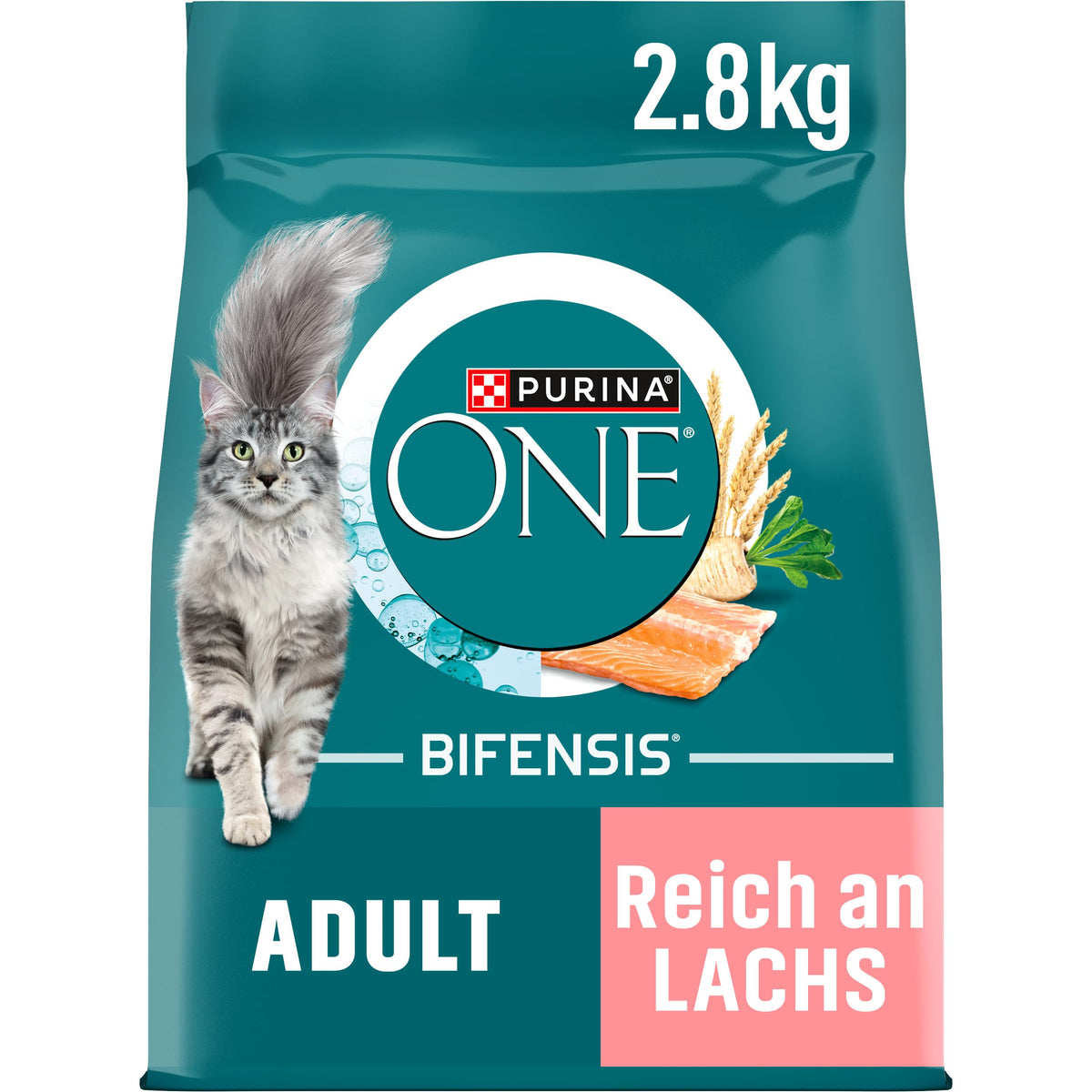 PURINA ONE BIFENSIS Dry Food for Adult Cats, Rich in Chicken, 1 Pack (1 x 5.7 kg)