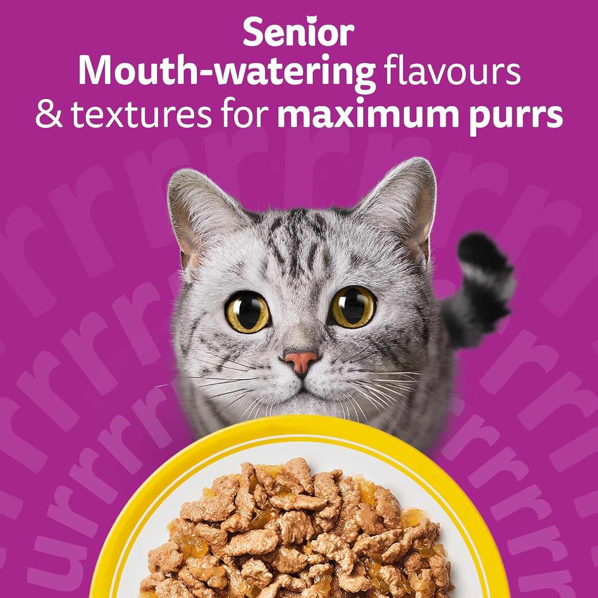 WHISKAS Senior 7+ Wet Cat Food in Jelly 40x85g Poultry Feasts