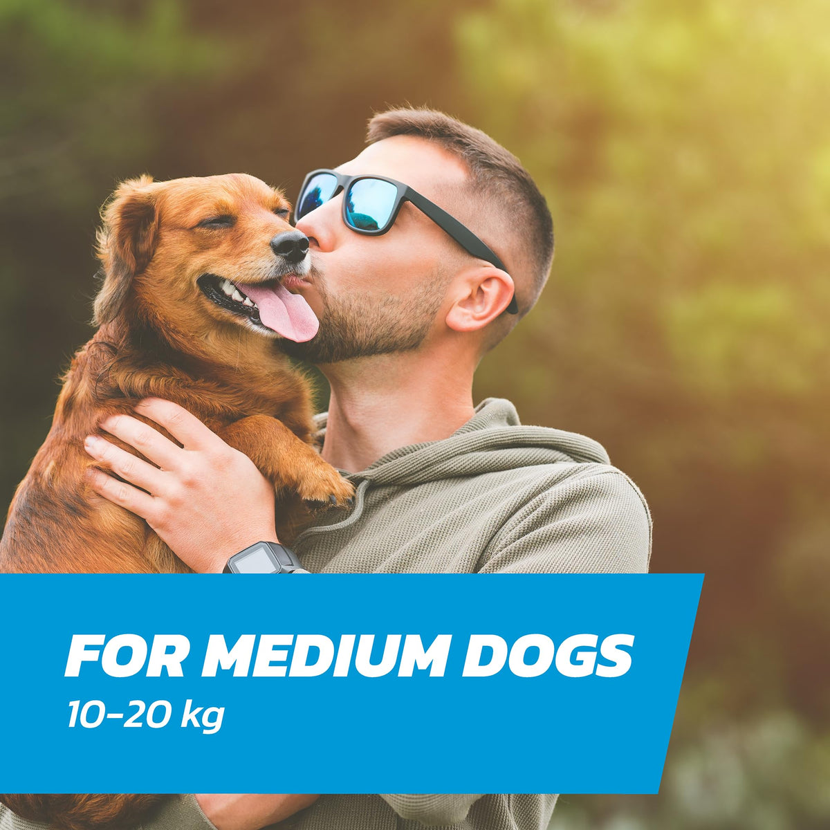 Dog Flea Treatment Small Dog x 6 - Spot on Flea Treatment for Dogs Small 2-10kg - FleaSolve Flea & Tick Solution - 6 x Pipettes - 6 x Doses