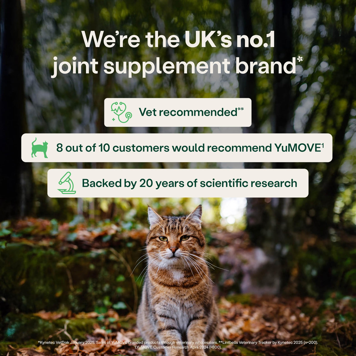 YuMOVE Senior Cat Joint Supplement for Joint Care & Joint Aid, for Older, Stiff Cats with Glucosamine, Chondroitin & Green Lipped Mussel, 60 Capsules - Packaging May Vary