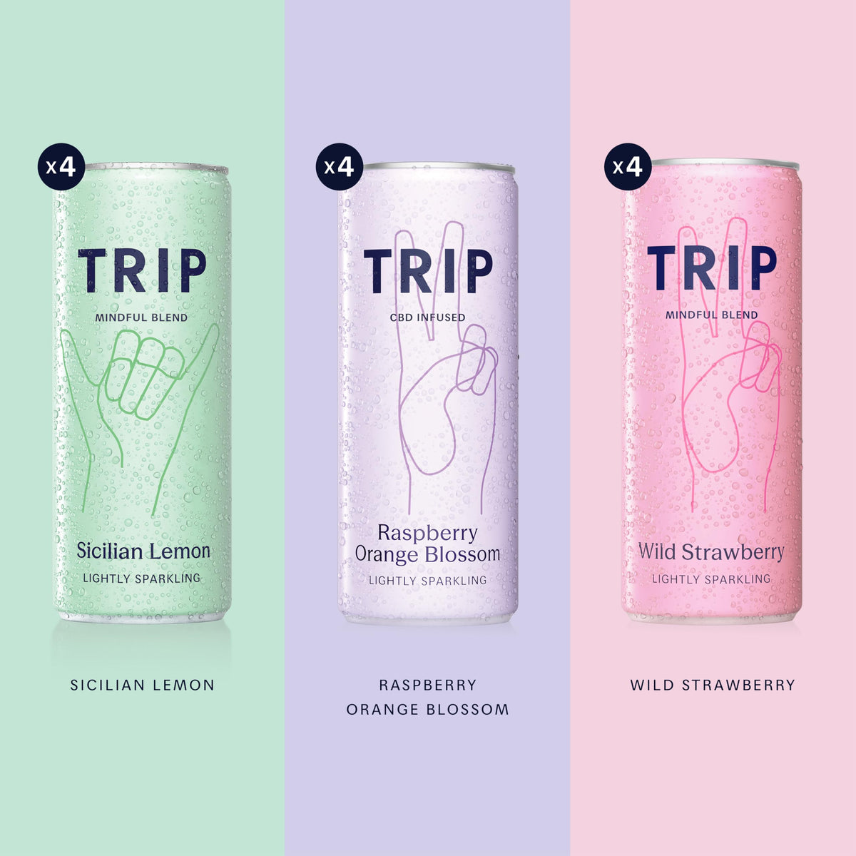 TRIP Calm Magnesium Drink, Sparkling Mocktail, Ultimate Sampler Mix, 12pack