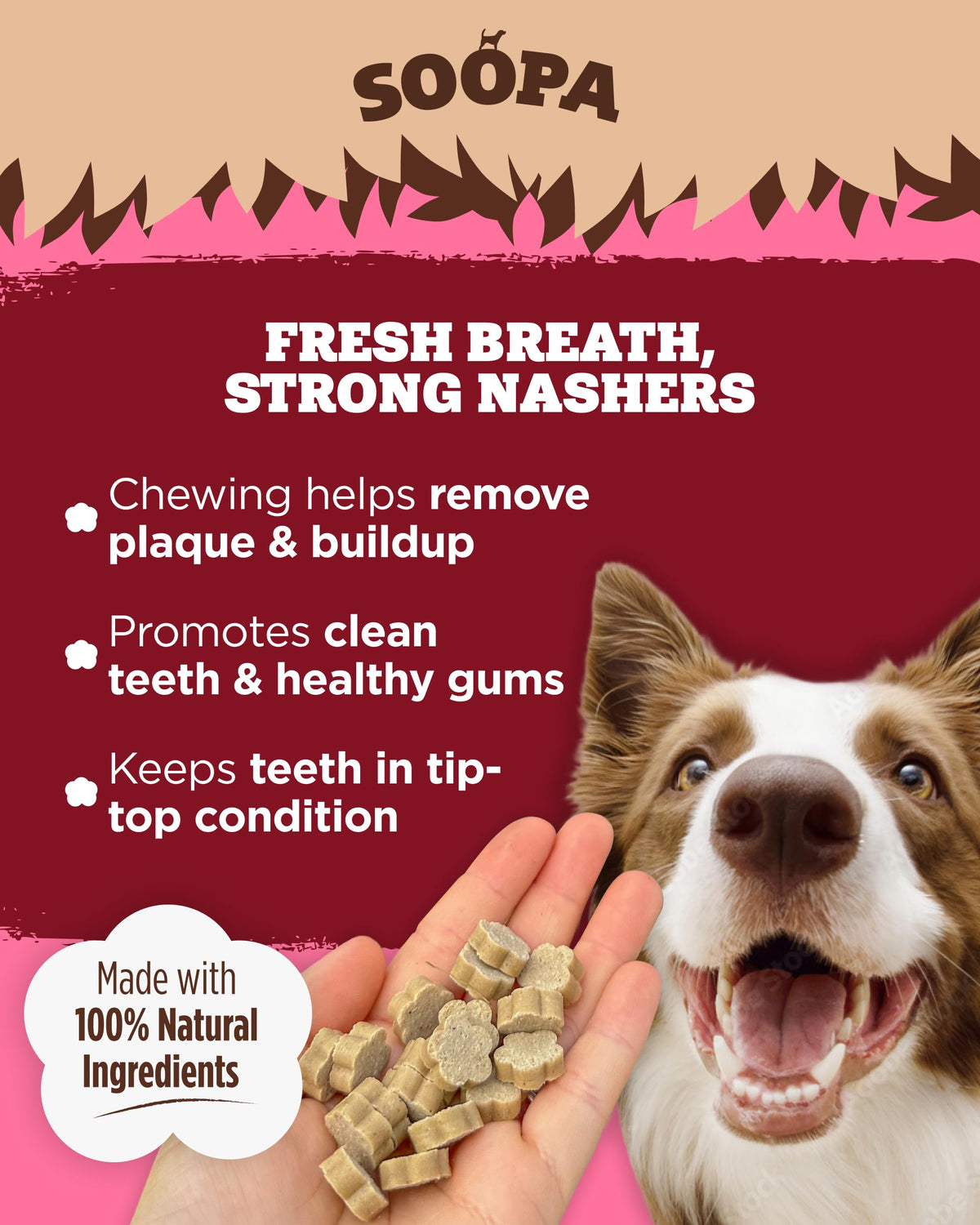 Soopa Strawberry Dog-Quiri Healthy Bites, Dog Training Treats, 50 g, 1-Pack