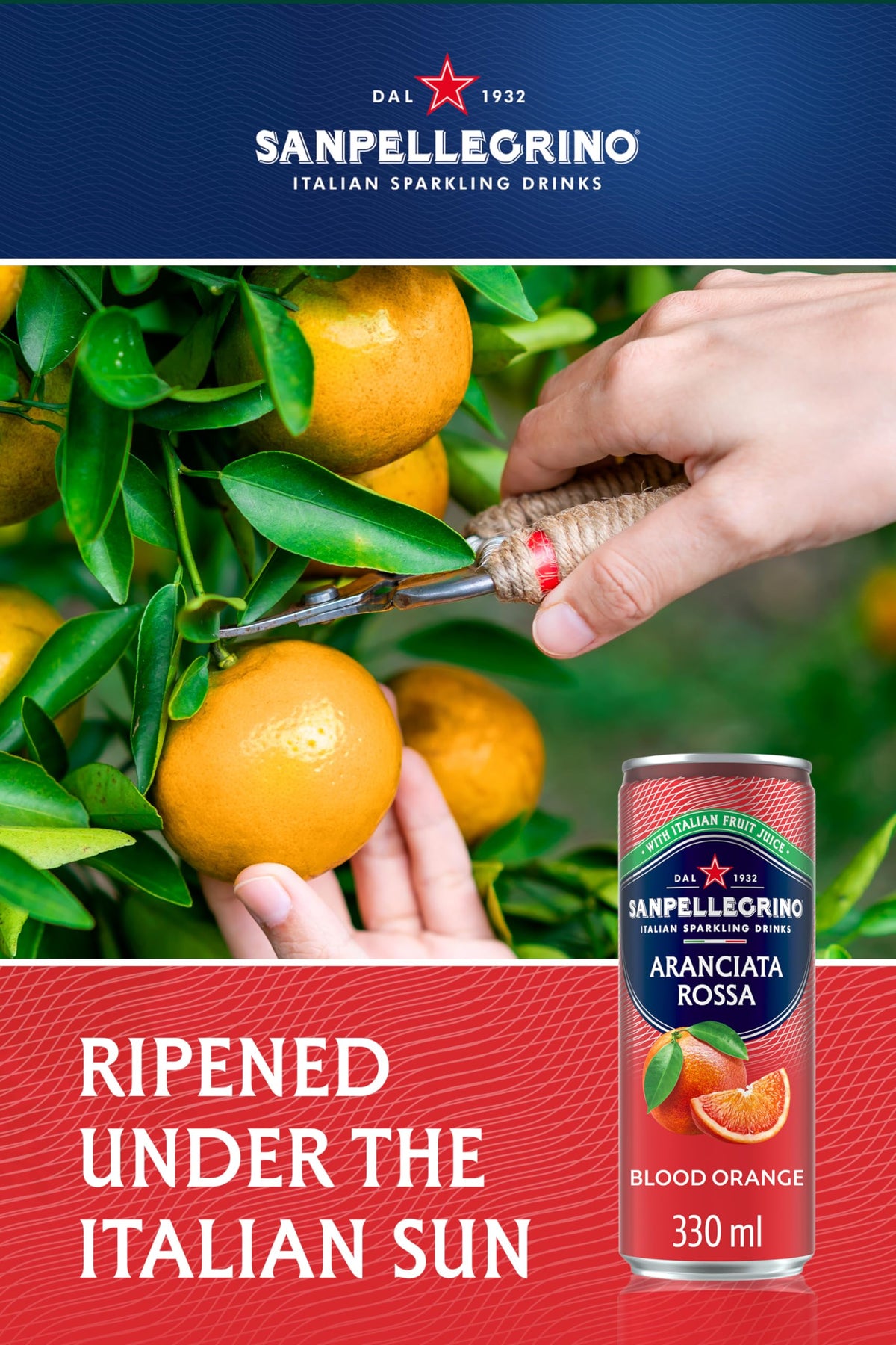 San Pellegrino Italian Sparkling Drinks Tastefully Light Sparkling Orange Canned Soft Drink 12 x 330ml | 64k Cals per Can (Pack of 2)