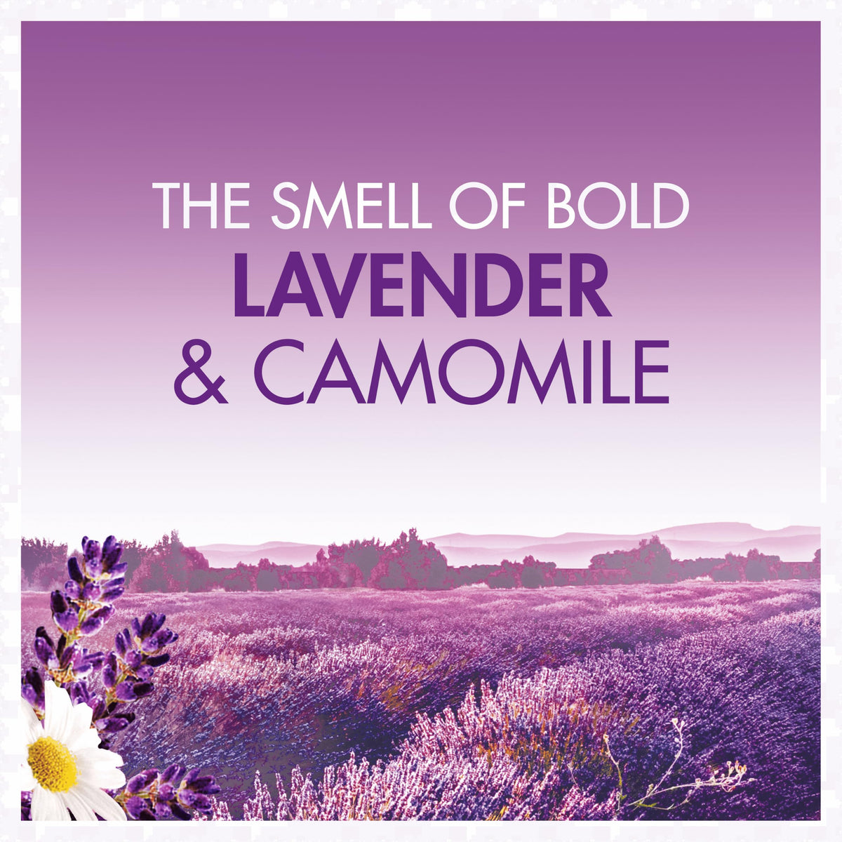 Bold 2in1 Washing Powder Lavender & Camomile 75 Washes