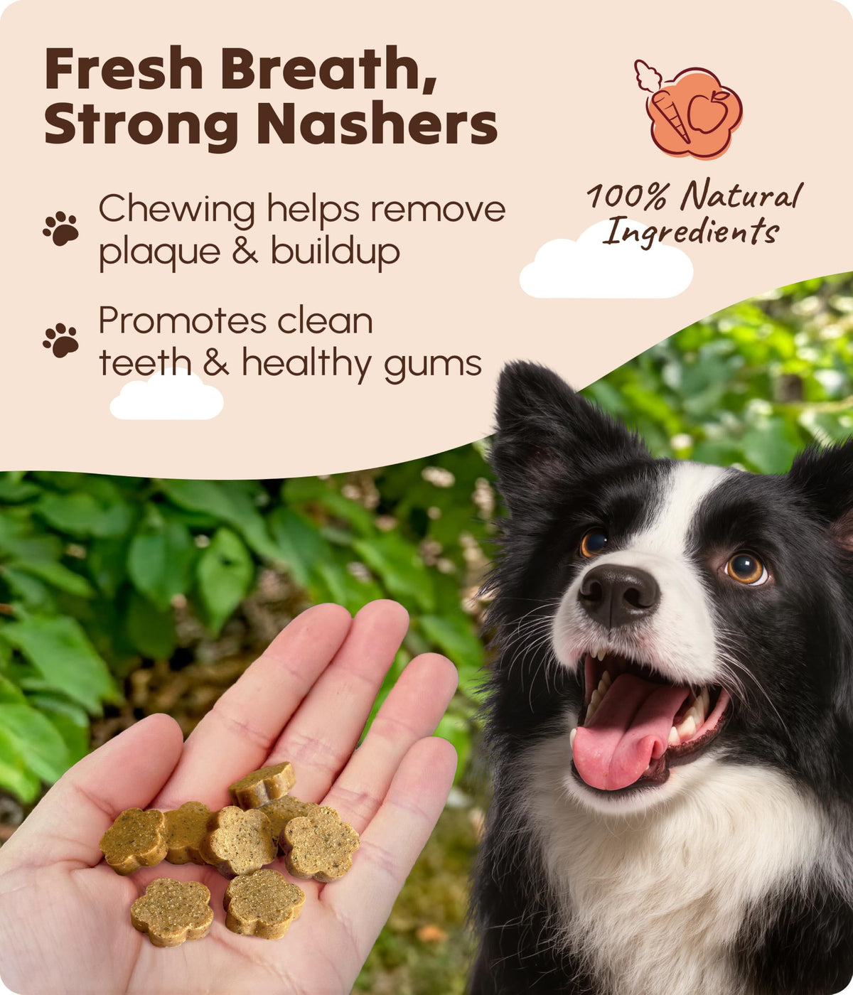 Soopa Strawberry Dog-Quiri Healthy Bites, Dog Training Treats, 50 g, 1-Pack