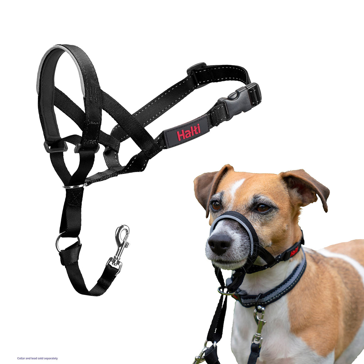 Halti Headcollar for Dogs | Size 3, Black