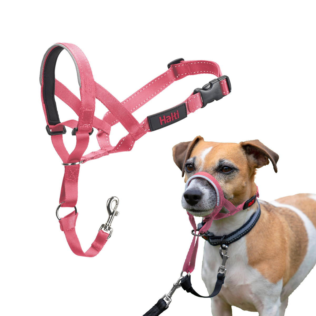 Halti Headcollar for Dogs | Size 3, Black