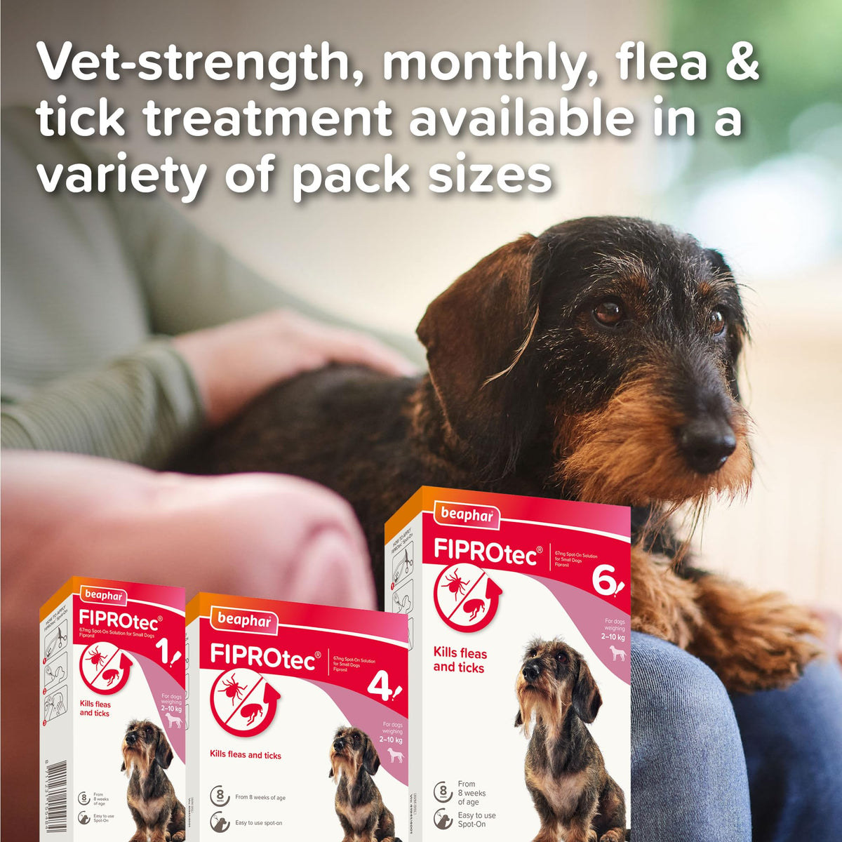 Beaphar - FIPROtec Spot-On Flea & Tick Treatment for Medium Dogs 10-20kg - 6 Pipettes - Kills Fleas & Ticks – Veterinary Medicine - Easy to Apply Monthly - Suitable for Dogs & Puppies from 8 Weeks