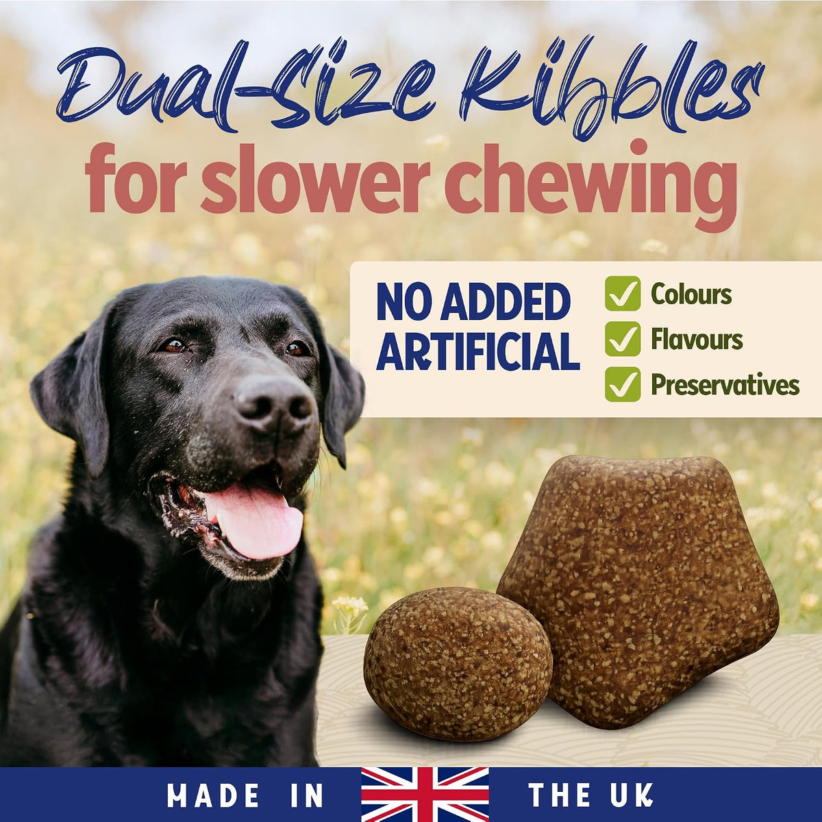 BETA Adult Sensitive Salmon Dry Dog Food 14kg