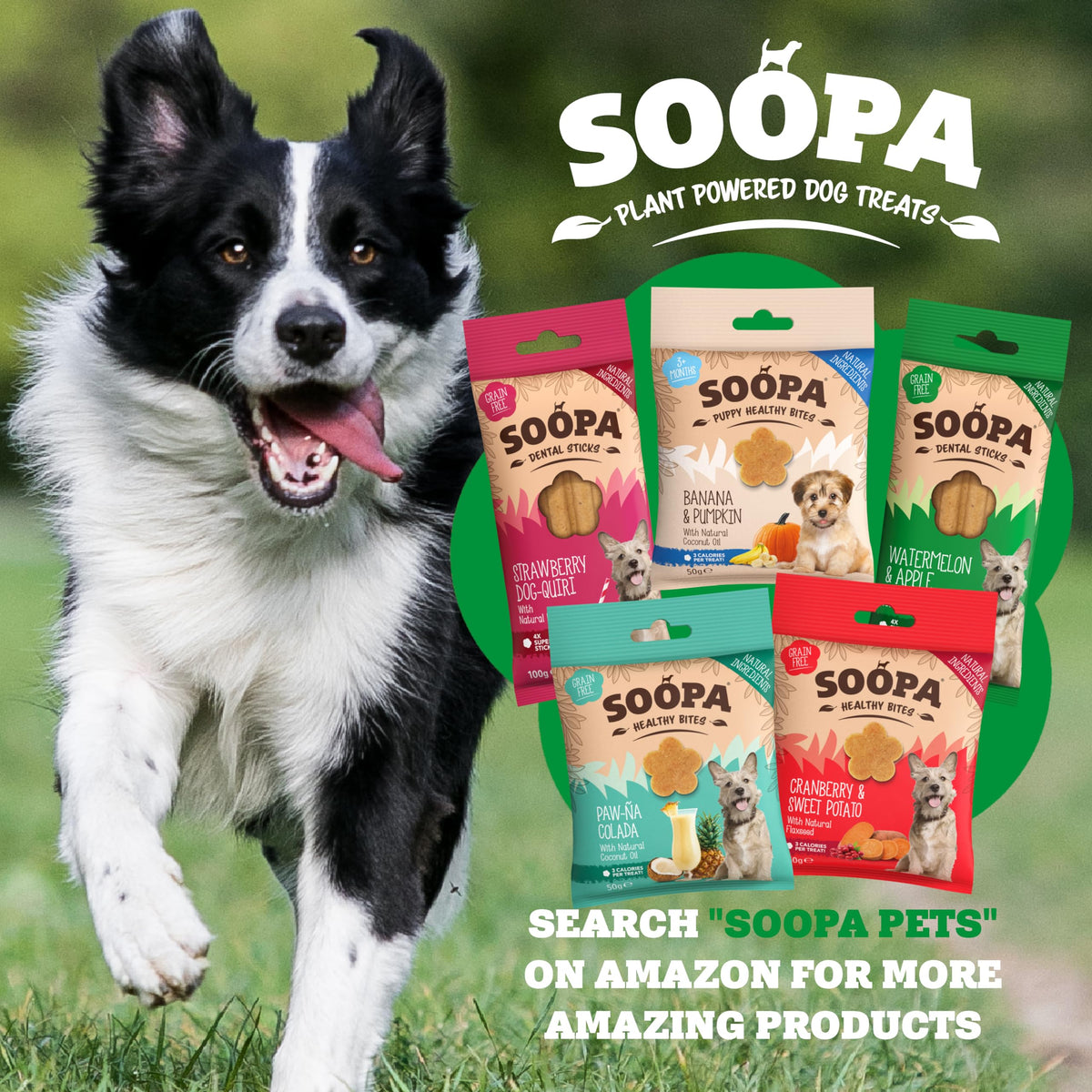 Soopa Carrot & Pumpkin Dog Dental Sticks, Chews to Clean Teeth, 100 g, 1-Pk