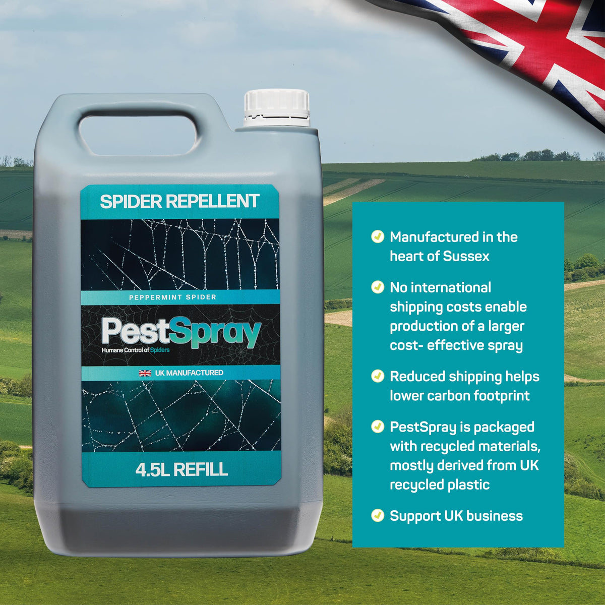 Peppermint Spider PestSpray, Peppermint Oil Spray, Spider Repellent, 250ml Bottle, Suitable Indoor & Outdoor Use