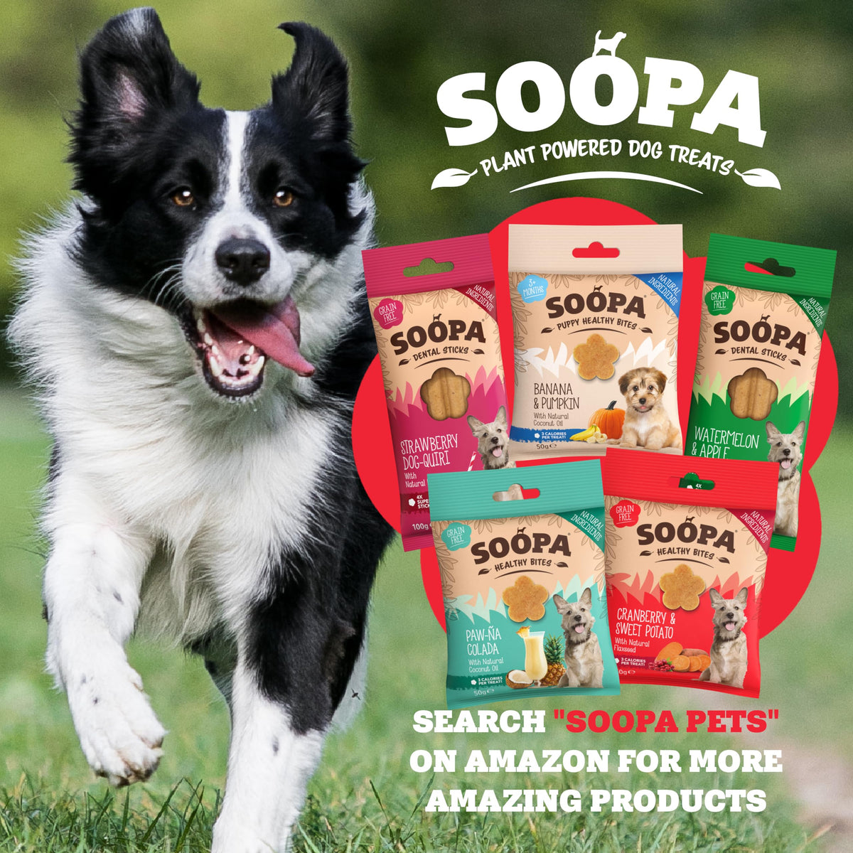 Soopa Carrot & Pumpkin Dog Dental Sticks, Chews to Clean Teeth, 100 g, 1-Pk
