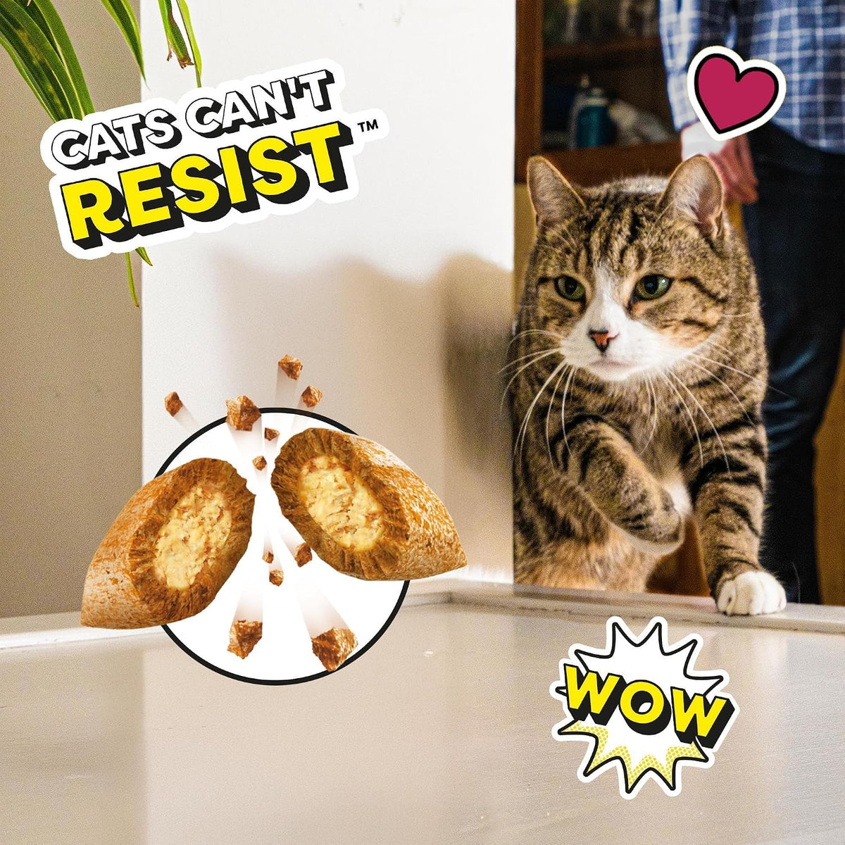 DREAMIES - Chicken Cat Treats - 2x350g - Multipack Snacks 2 Mega Tubs - Bulk Cat Food