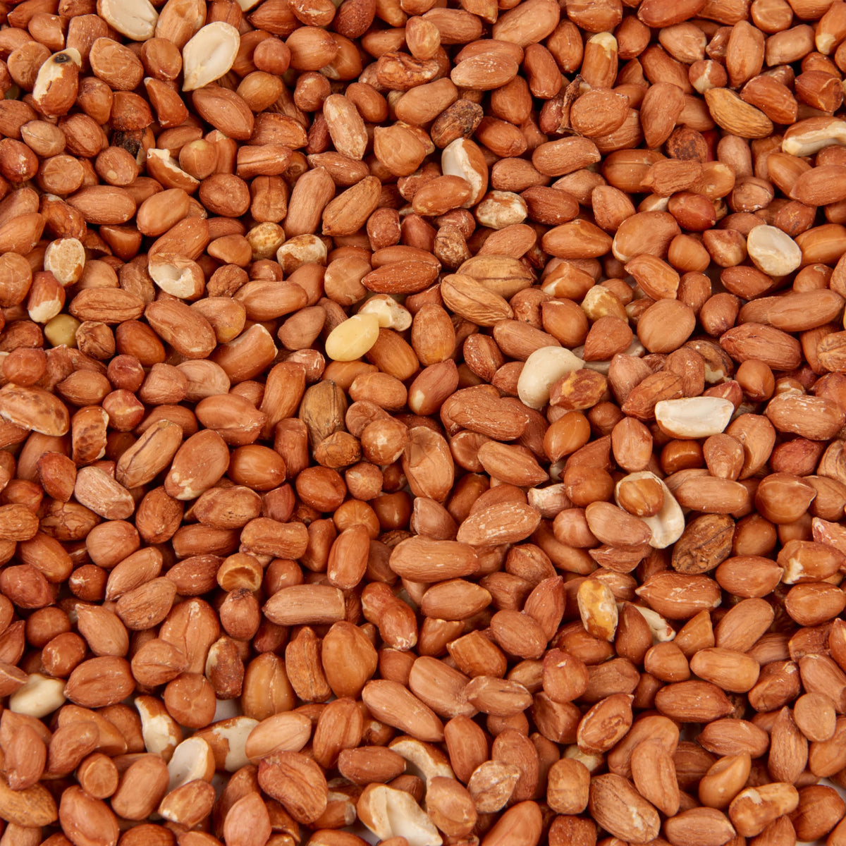 Peanut Kernels Wild Bird Food Seed, 5L Refill Bag
