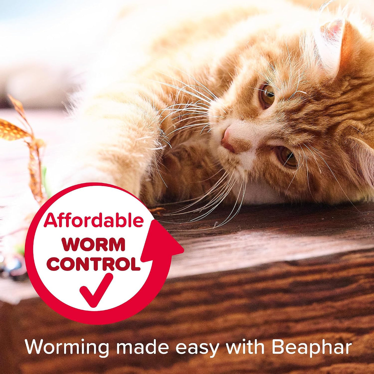 Beaphar - WORMclear® Spot-On for Cats – 2 Pipettes - Kills Tapeworms - Vet Strength Medicinal Worming Treatment - Easy-To-Use Spot-On Wormer - Suitable for Cats & Kittens Weighing More than 1kg