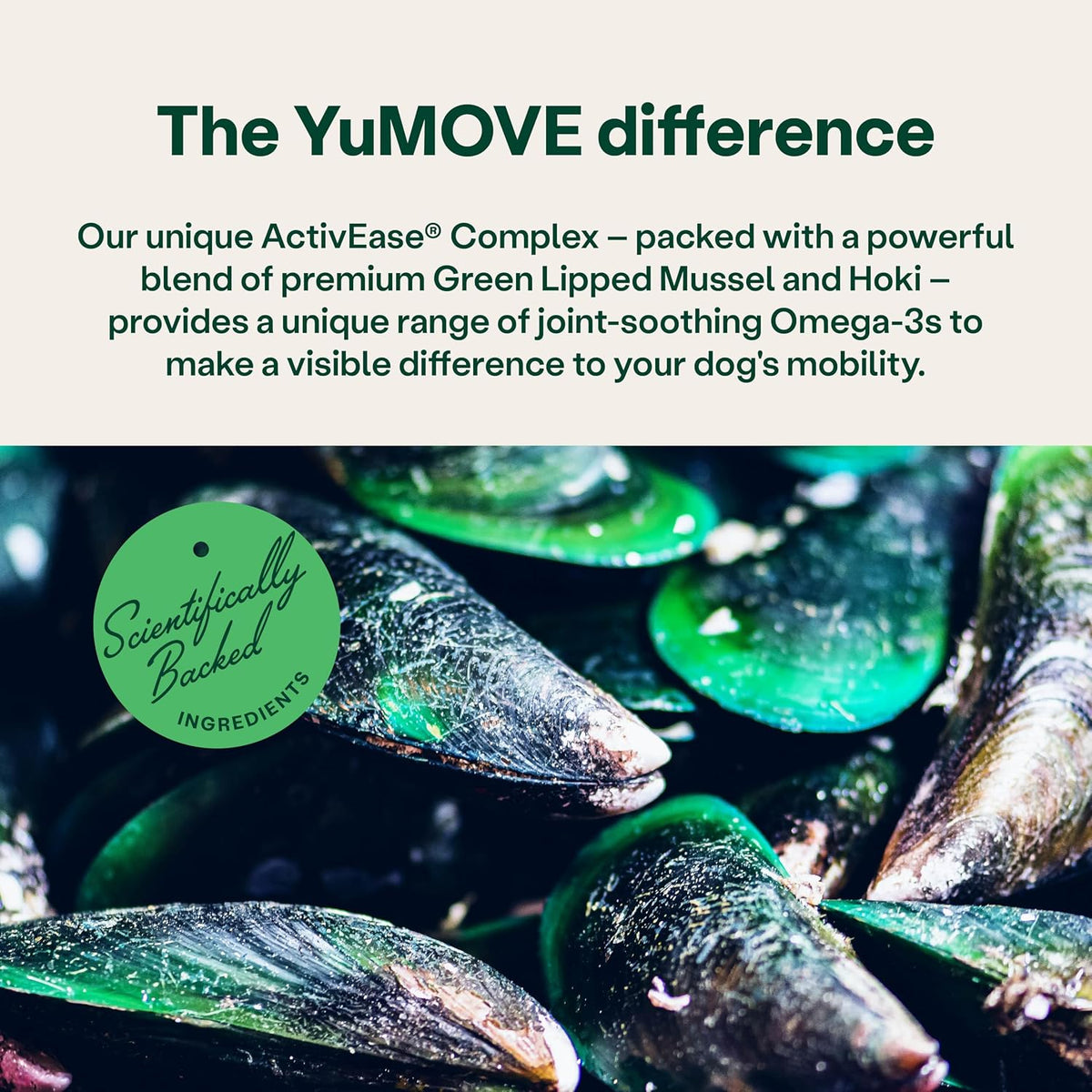 YuMOVE Joint Supplement for Dogs, Higher Strength for Joint Care, Essential Dog Hip and Joint Support for Adult Dogs Aged 6 to 8, 120 Tablets - Eco Friendly and Letter Box Ready Packaging