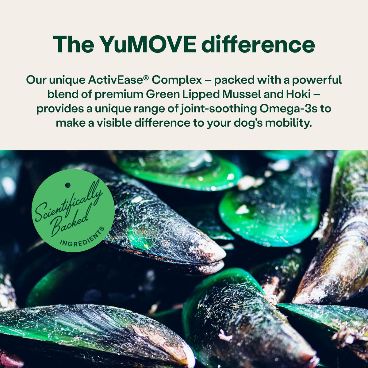 YuMOVE Joint Supplement for Dogs, Higher Strength for Joint Care, Essential Dog Hip and Joint Support for Adult Dogs Aged 6 to 8, 120 Tablets - Eco Friendly and Letter Box Ready Packaging