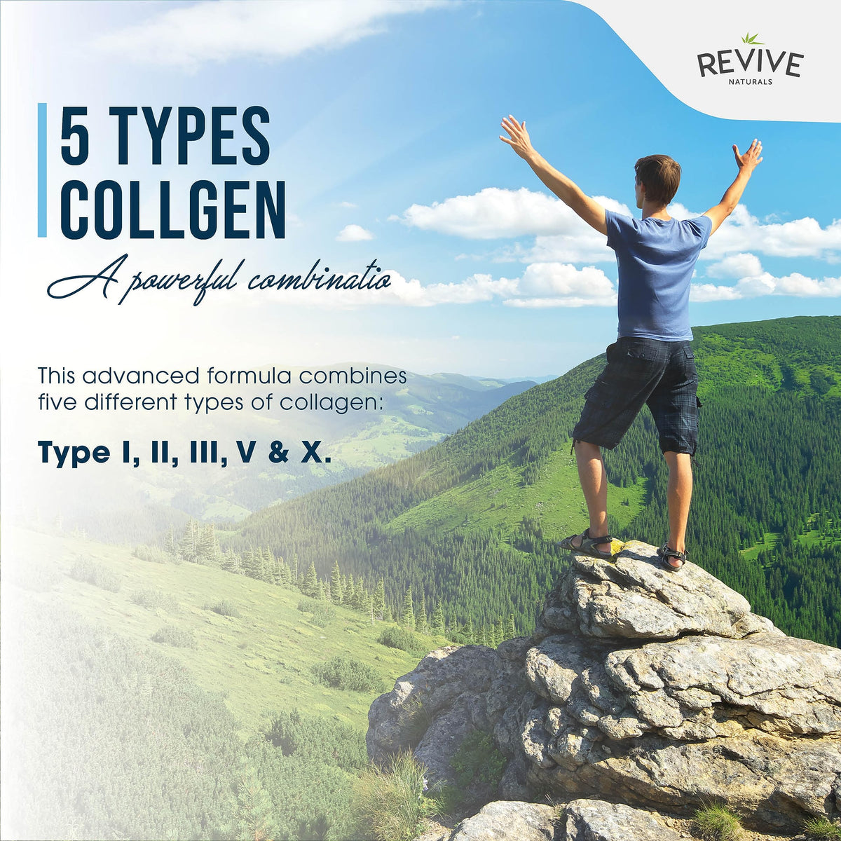 Multi Collagen Protein Powder 400g - Types I, II, III, V & X - Hydrolyzed Grass Fed Bovine, Wild Caught Fish, & Free-Range Chicken & Eggshell Collagen by Revive Naturals