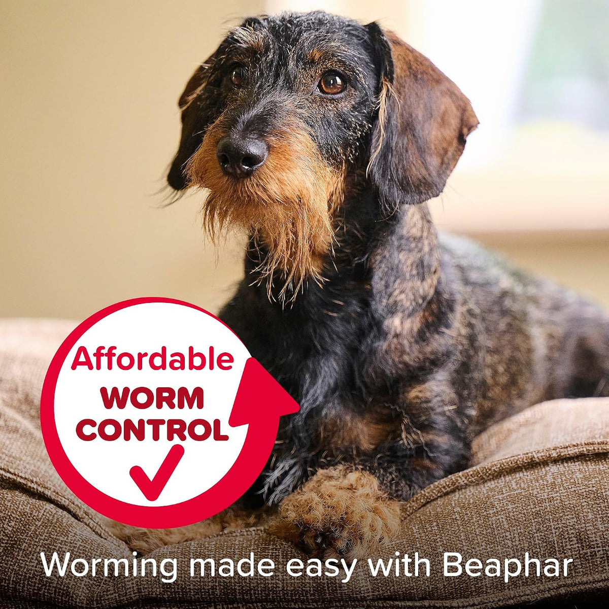 Beaphar - WORMclear® Tablets for Dogs up to 20kg - 2 Tablets - Kills All Common UK Intestinal Worms (Roundworms & Tapeworms) - Vet Strength Wormer - Pork-Flavoured - For dogs over 2 weeks old & 3kg