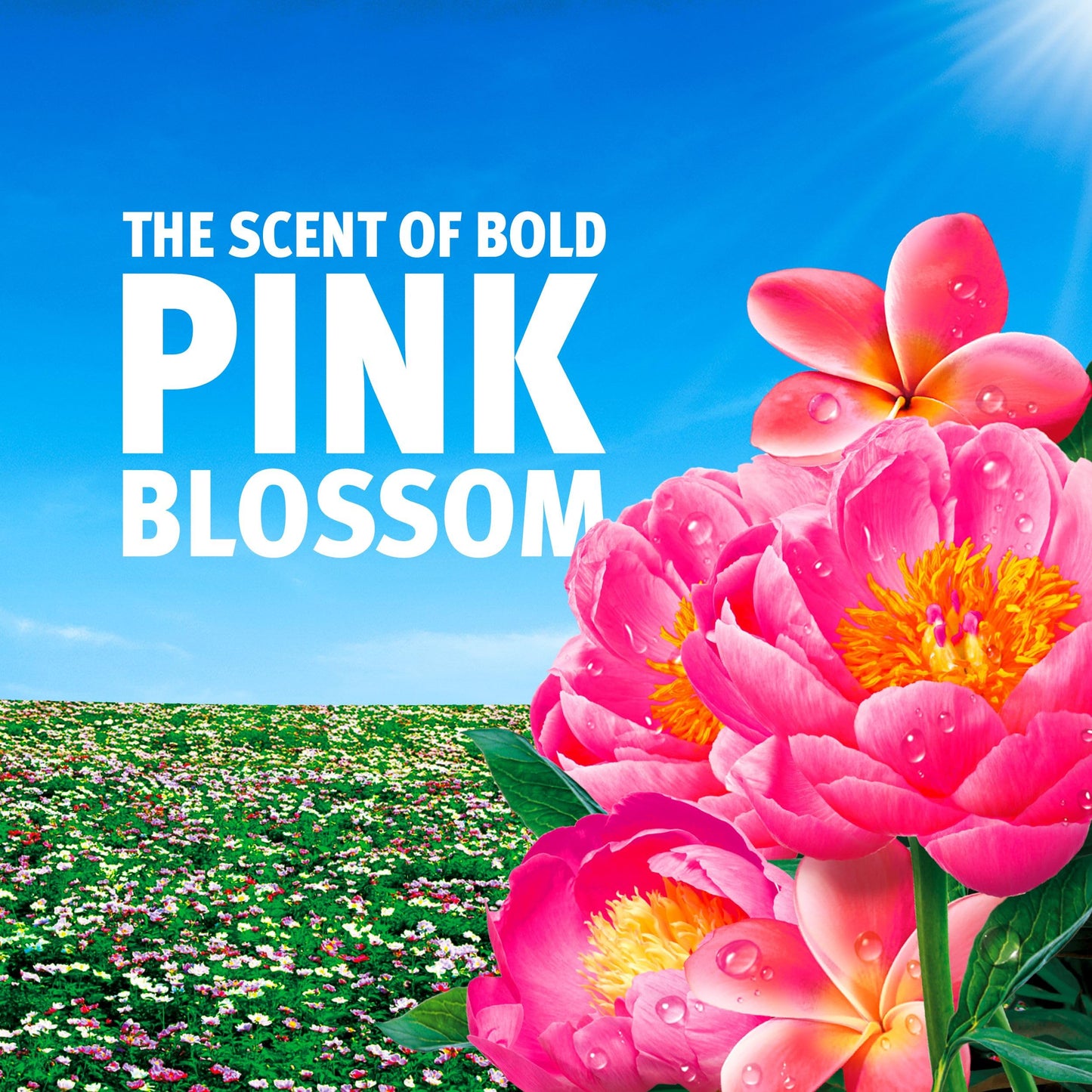 Bold First Day of Spring Washing Liquid 2.697L | 87 Washes