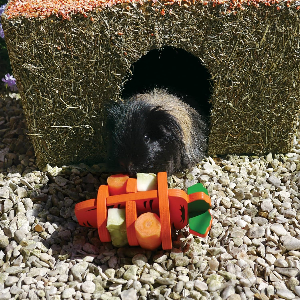 Rosewood Naturals Medium Carrot Cottage for Small Animals - Edible Toy, Hay House, Den and Hideout for Guinea Pigs, Chinchillas, Rats and Degus