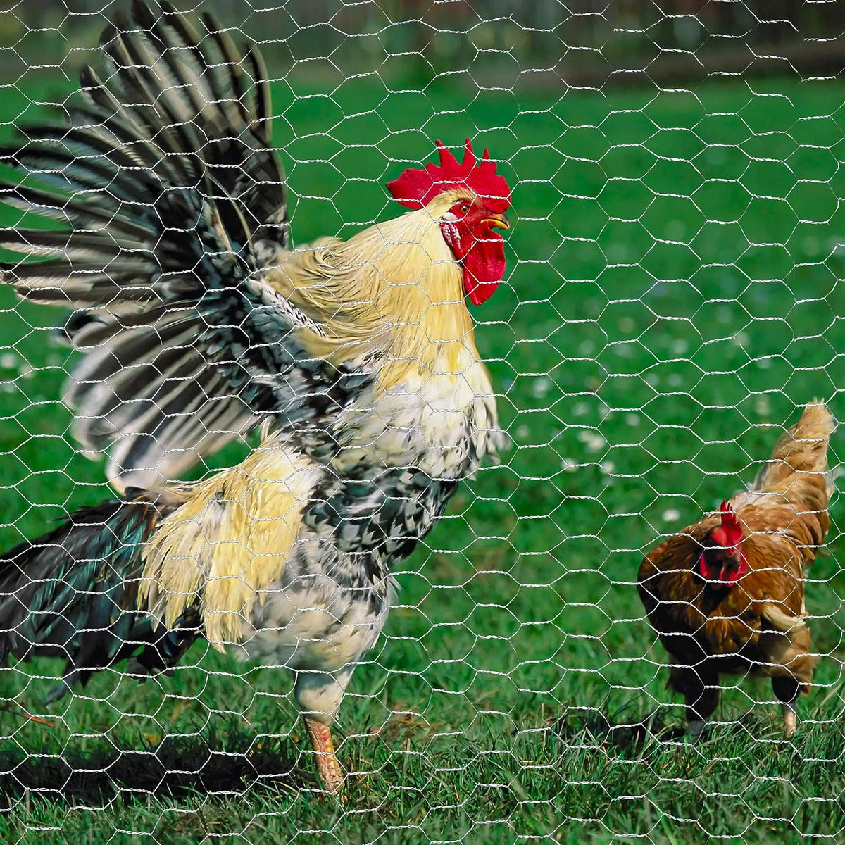 Chicken Wire,16M Wire Mesh Roll,Chicken Wire Mesh for Pet Rabbit Chicken Fencing