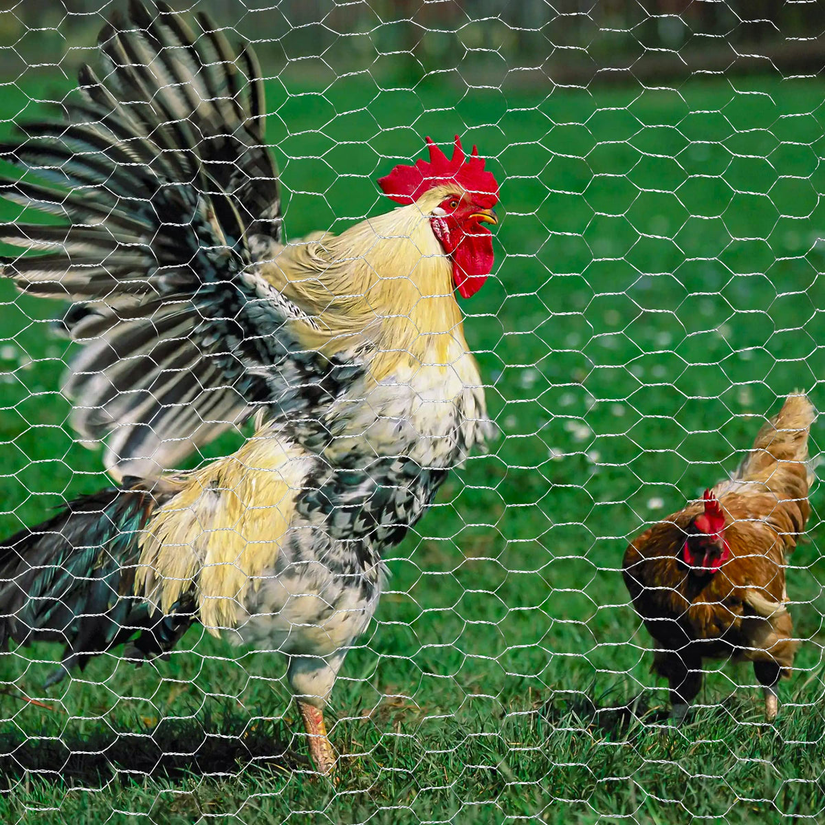 Chicken Wire,16M Wire Mesh Roll,Chicken Wire Mesh for Pet Rabbit Chicken Fencing