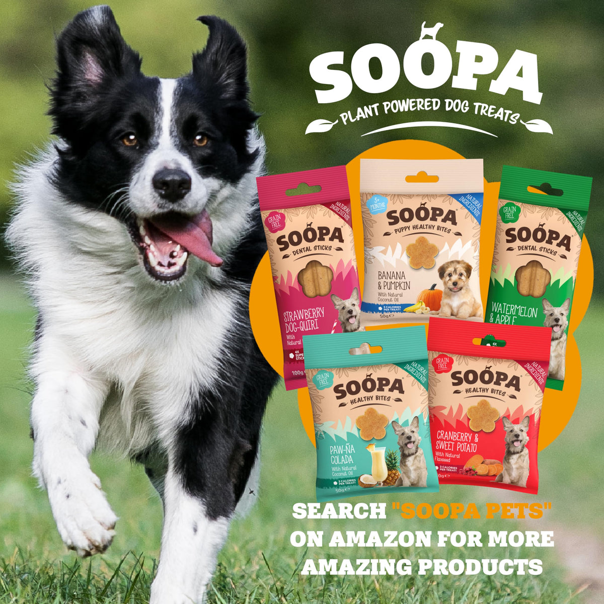 Soopa Carrot & Pumpkin Dog Dental Sticks, Chews to Clean Teeth, 100 g, 1-Pk
